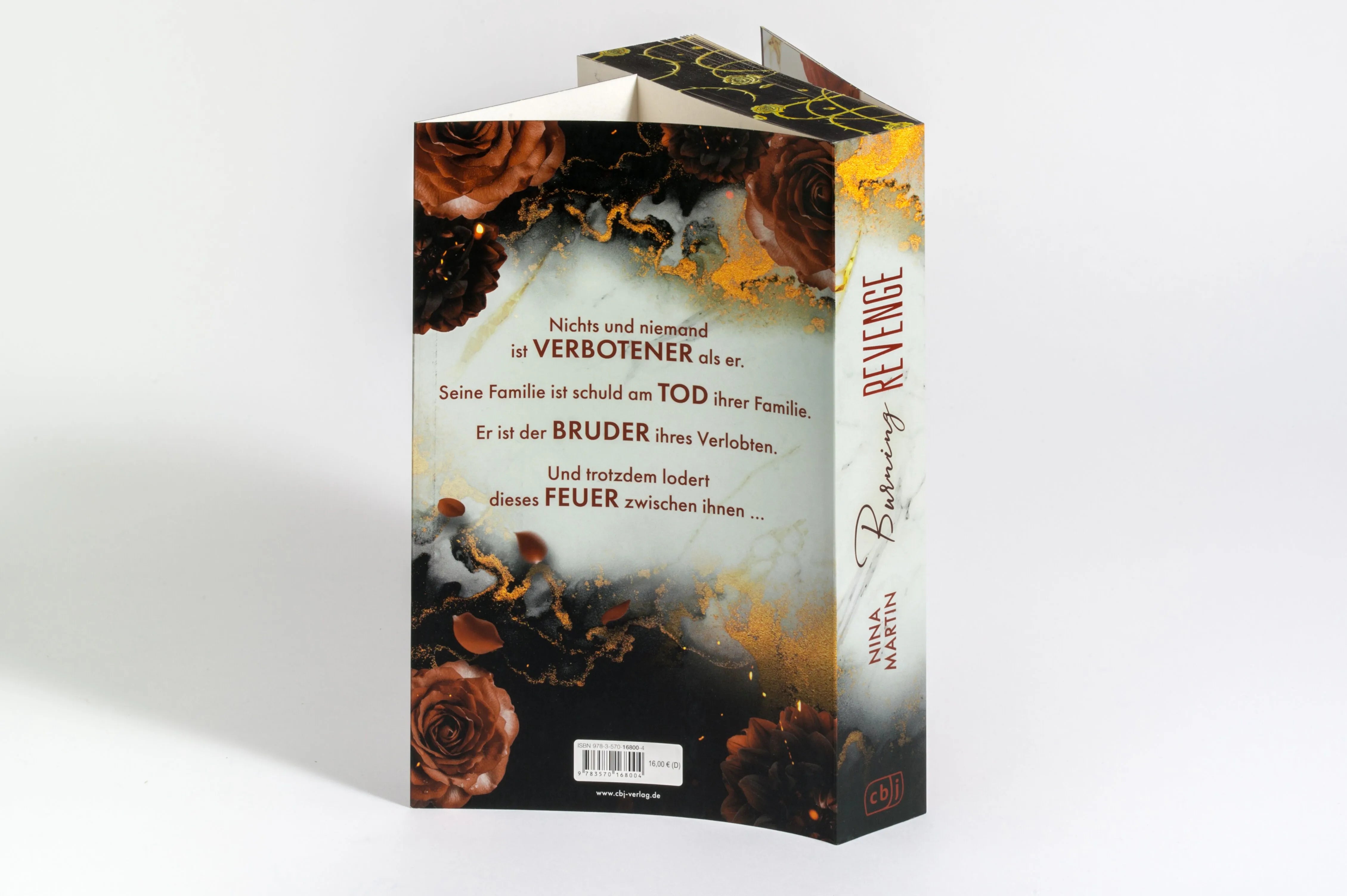 Detailansicht: Burning Revenge (Paperback)