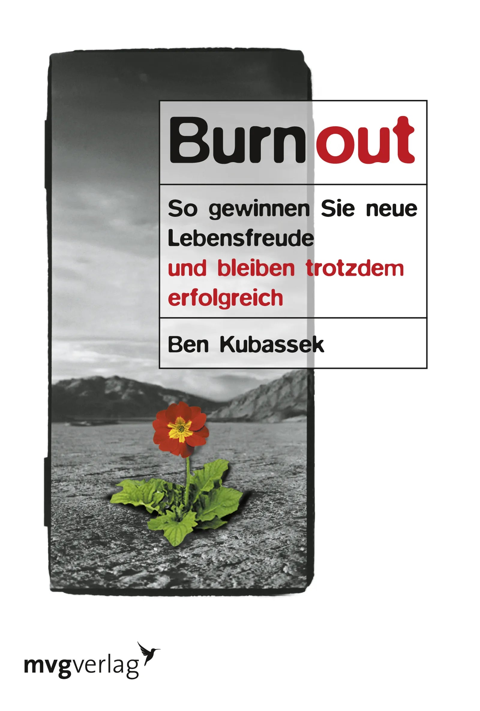 Buchcover von 'Burnout' - Taschenbuch von Ben Kubassek