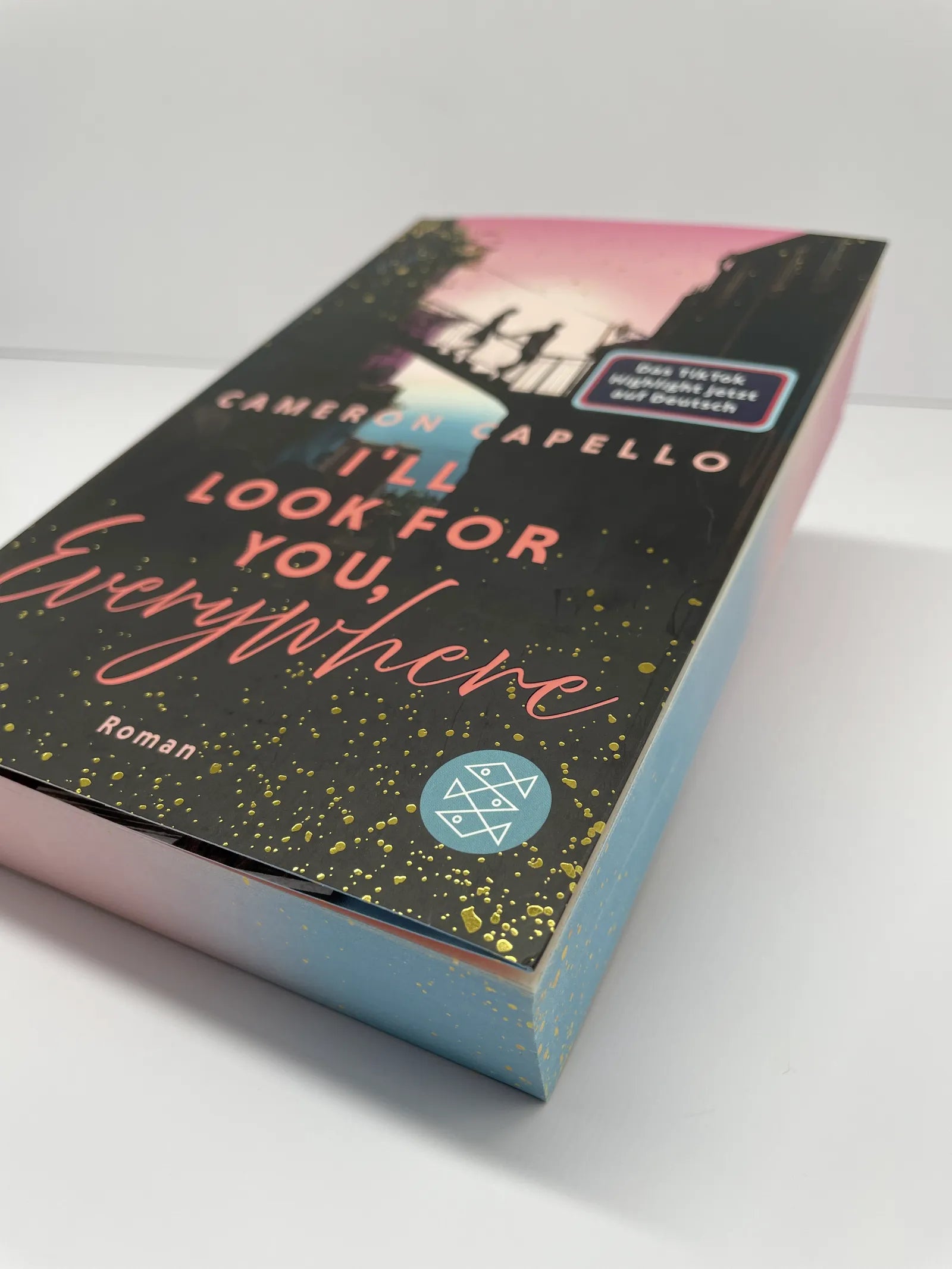 Produktansicht: I'll look for you, Everywhere (Paperback)
