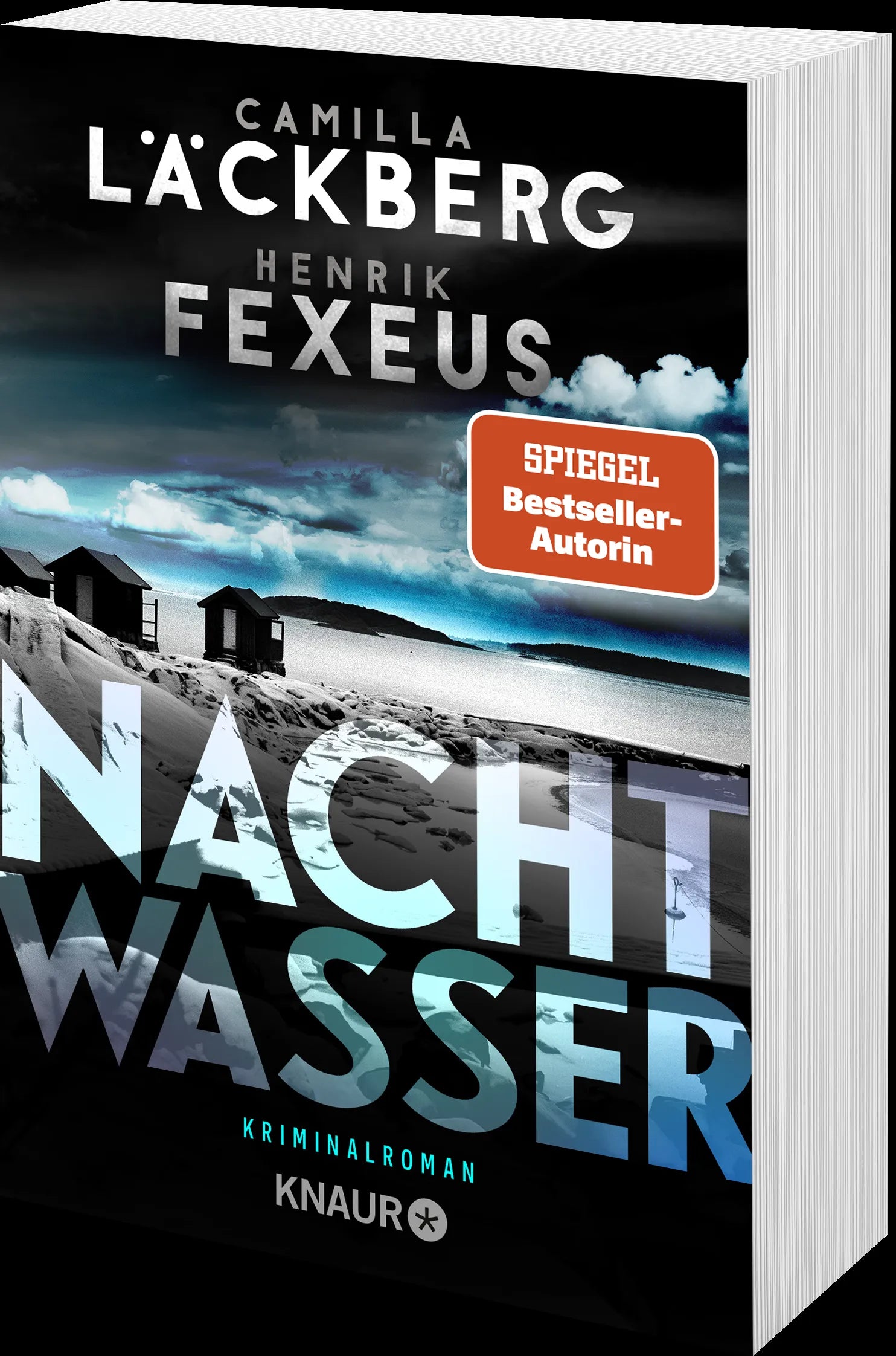 Produktansicht: Nachtwasser (Taschenbuch)