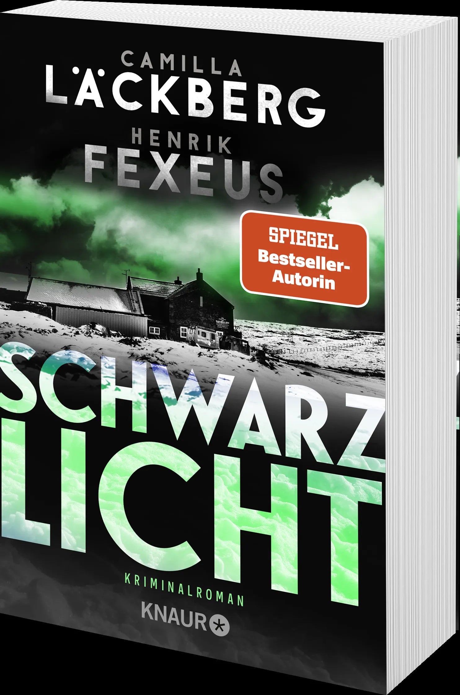 Produktansicht: Schwarzlicht (Taschenbuch)
