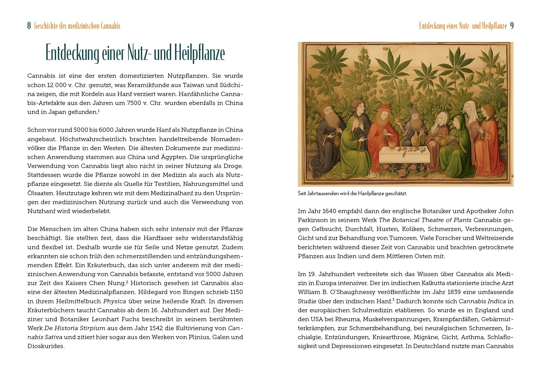 Innenansicht von 'Cannabis – Heilkraft der Natur' - Taschenbuch
