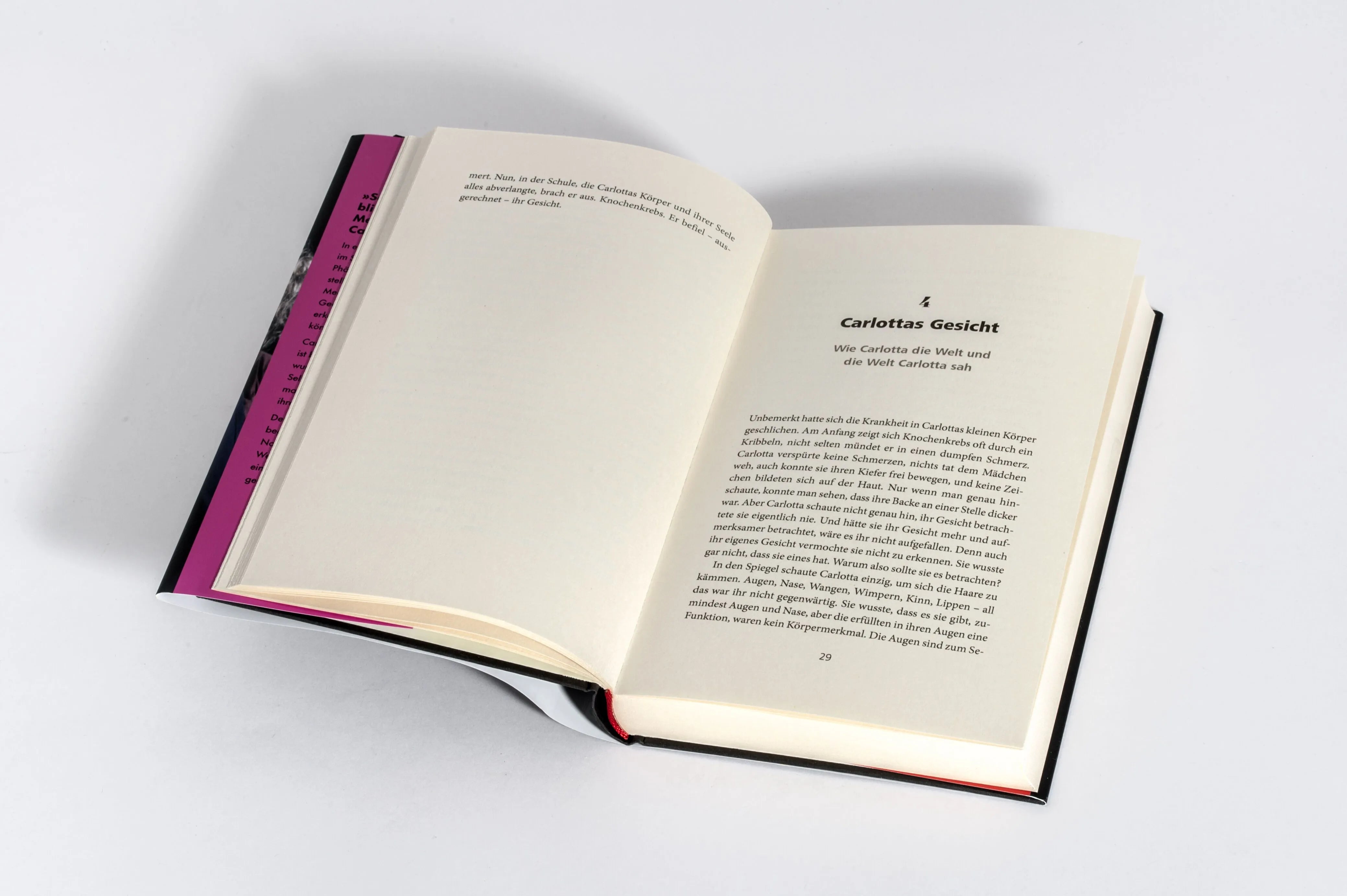 Detailansicht: Carlottas Welt (Hardcover)