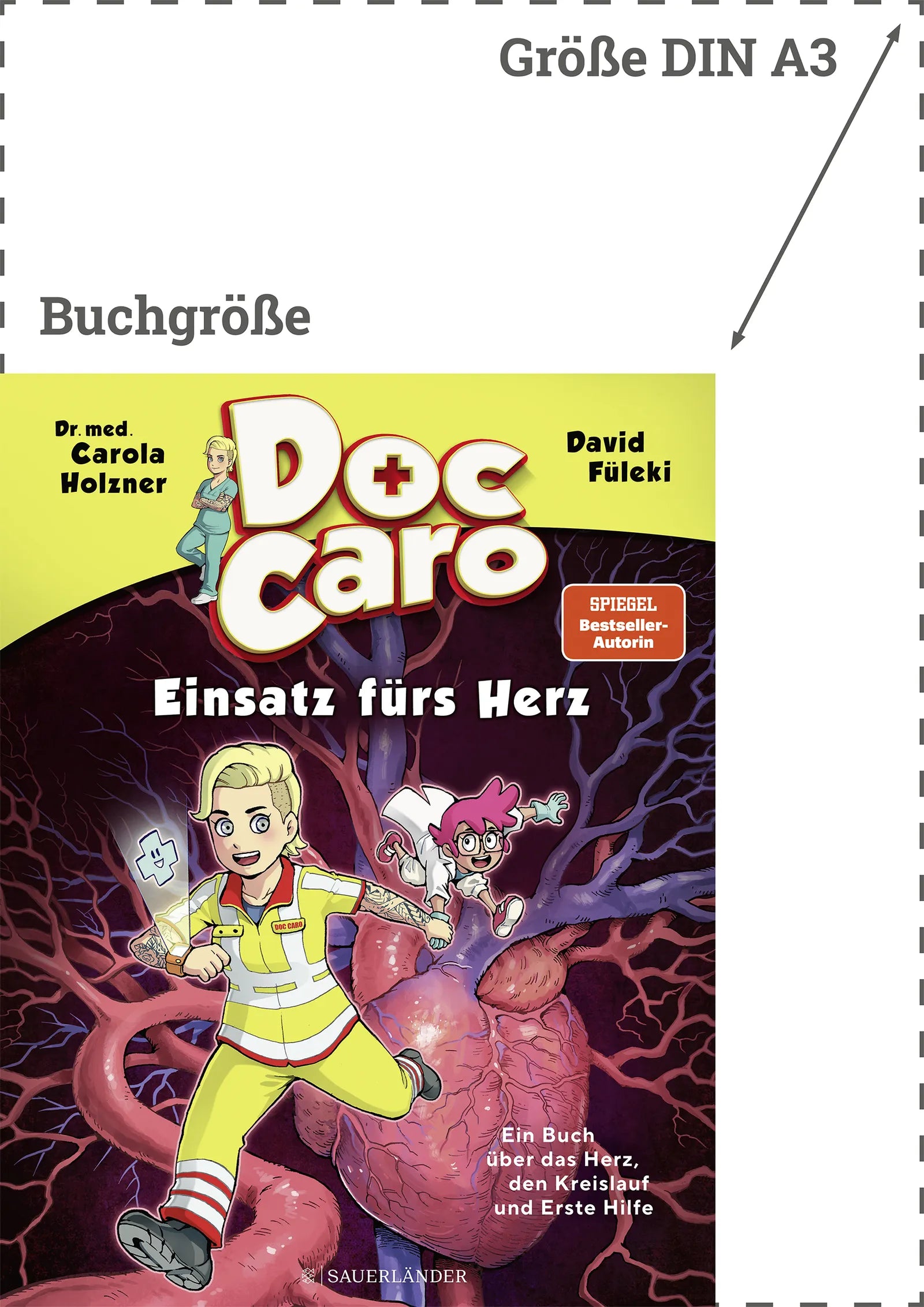 Produktansicht: Doc Caro – Einsatz fürs Herz (Gebundene Ausgabe)