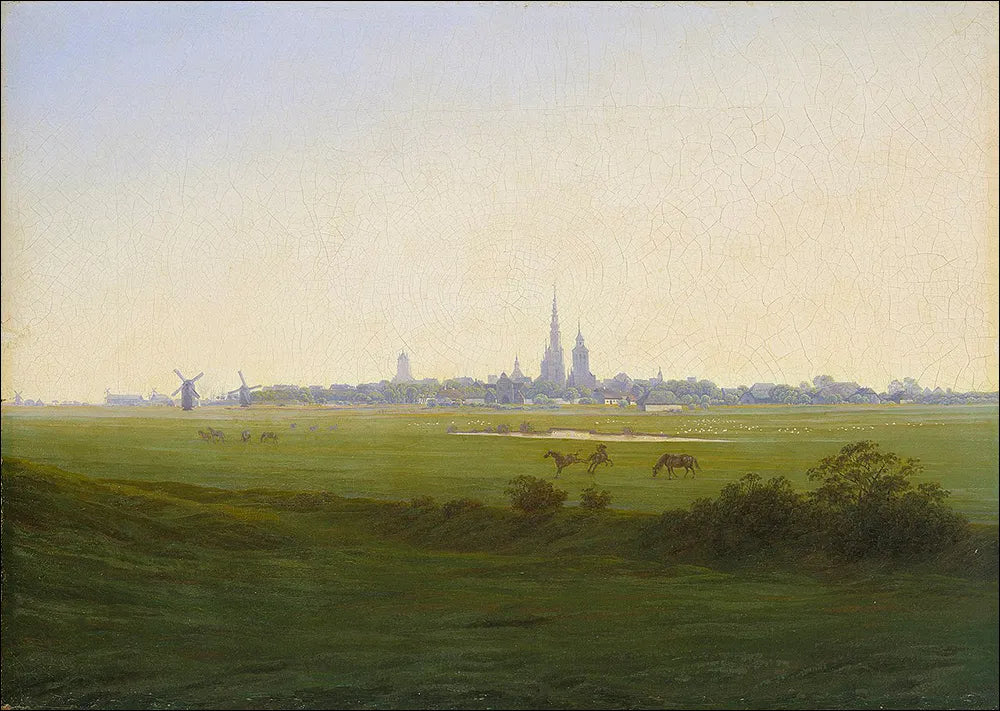 Produktansicht: Caspar David Friedrich und der weite Horizont (Gebundene Ausgabe)
