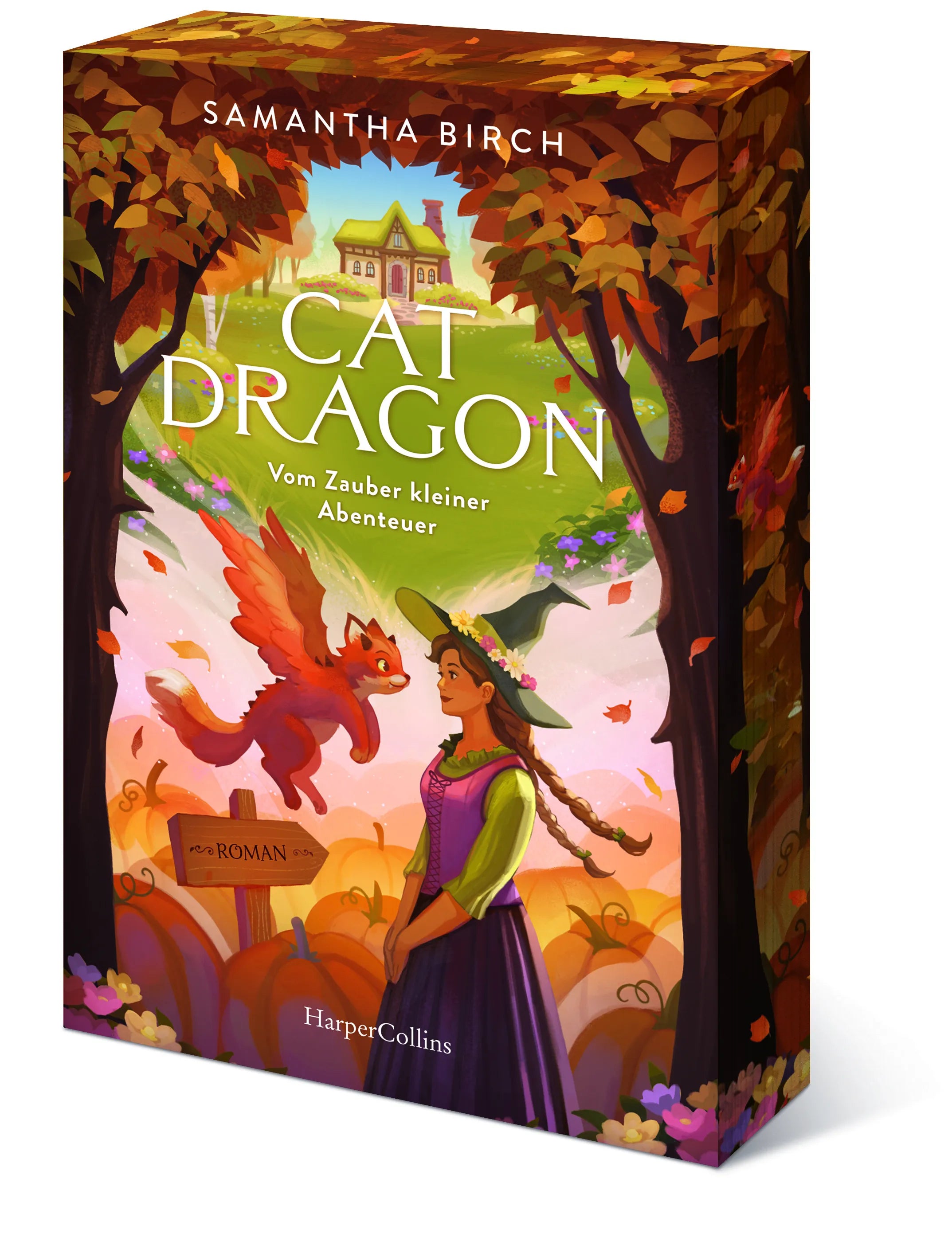 Innenansicht von 'Cat Dragon: Vom Zauber kleiner Abenteuer' - Taschenbuch