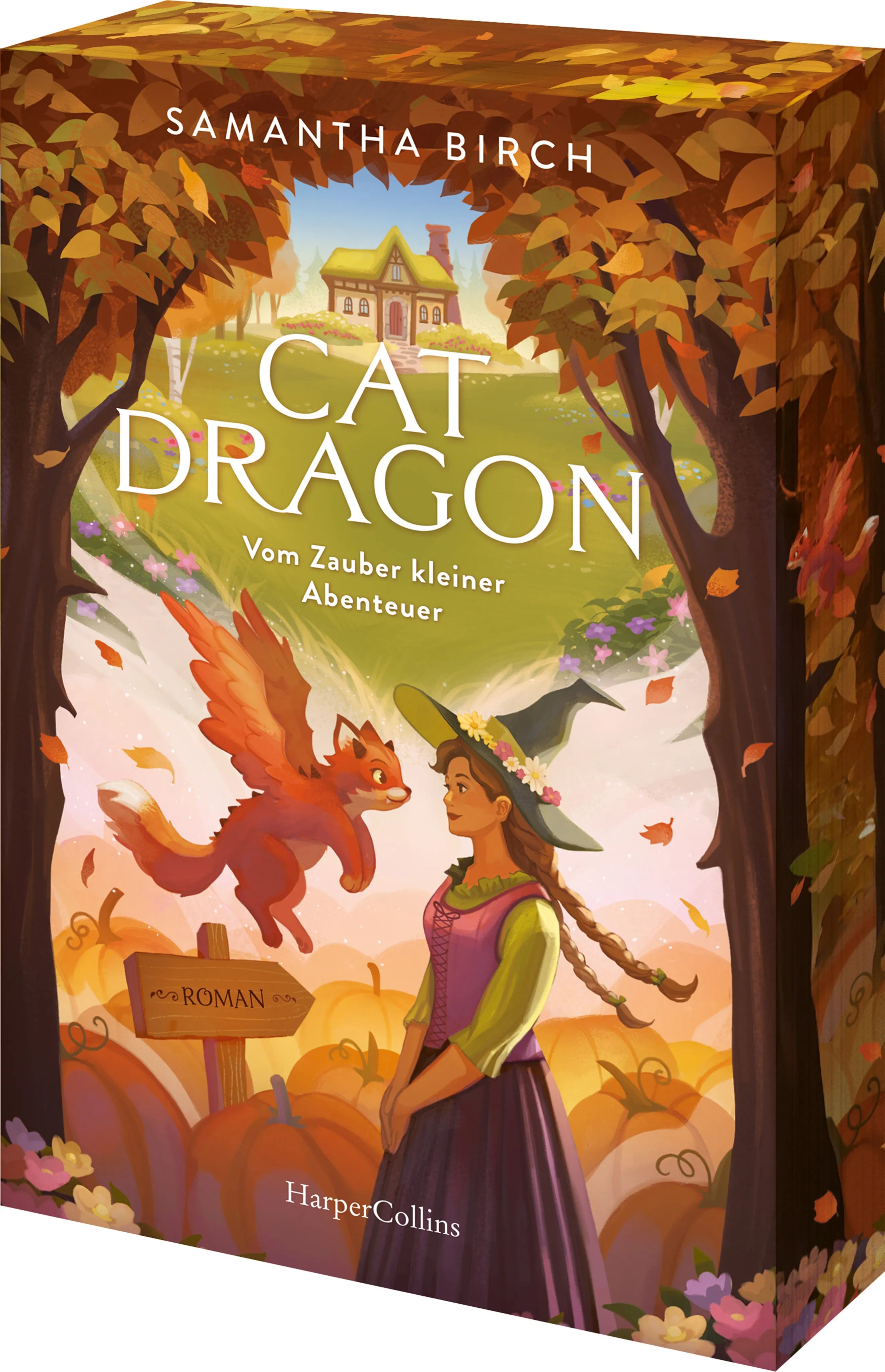 Buchcover von 'Cat Dragon: Vom Zauber kleiner Abenteuer' - Taschenbuch von Samantha Birch