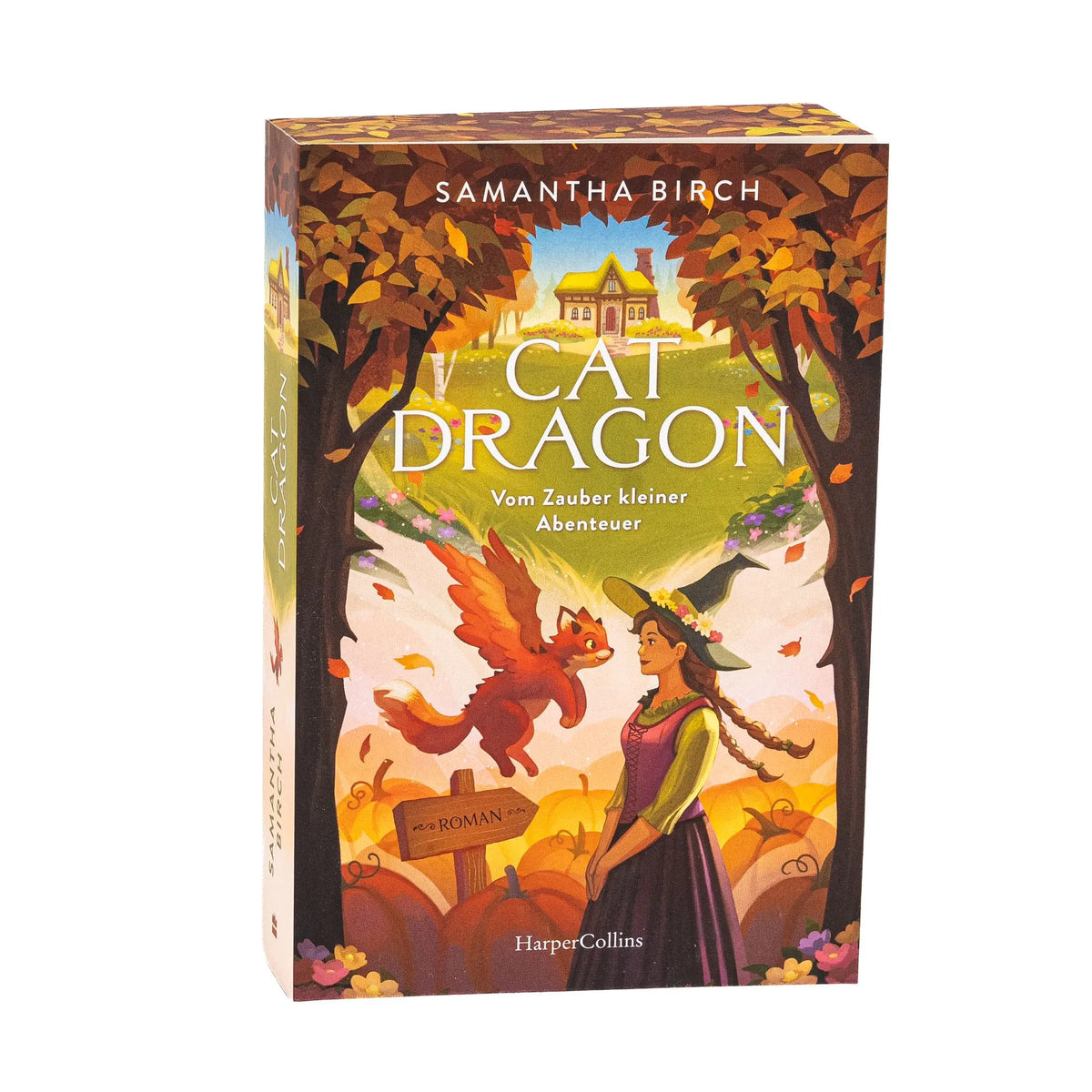Detailansicht: Cat Dragon. Vom Zauber kleiner Abenteuer (Taschenbuch)