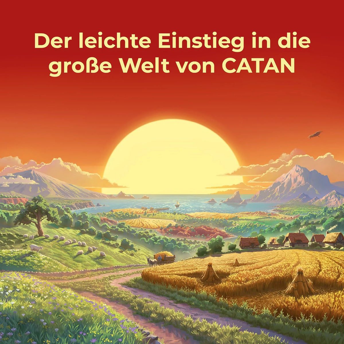 CATAN - Das Würfelspiel – Ansicht