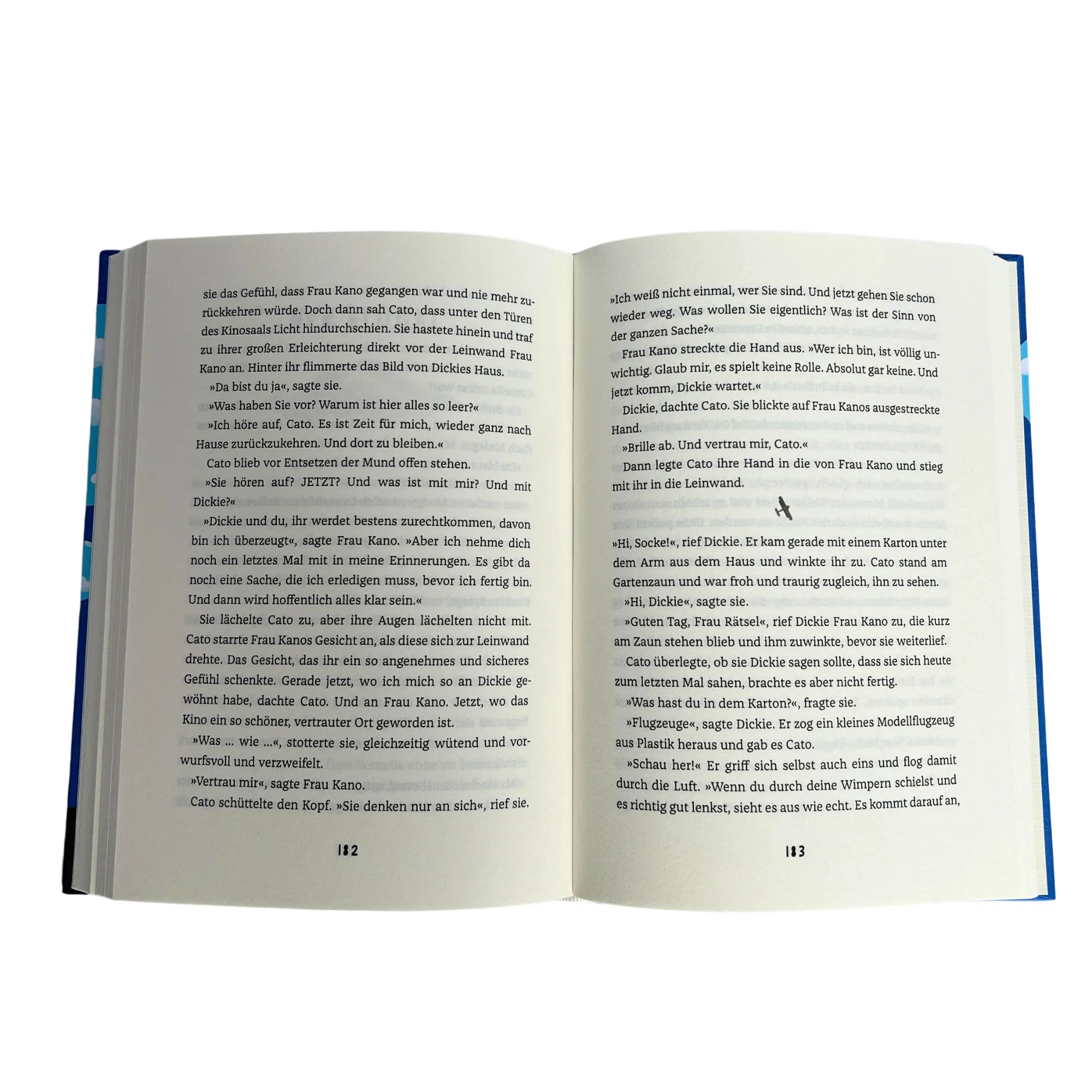 Produktansicht: Cato und die Dinge, die niemand sieht (Gebundene Ausgabe)