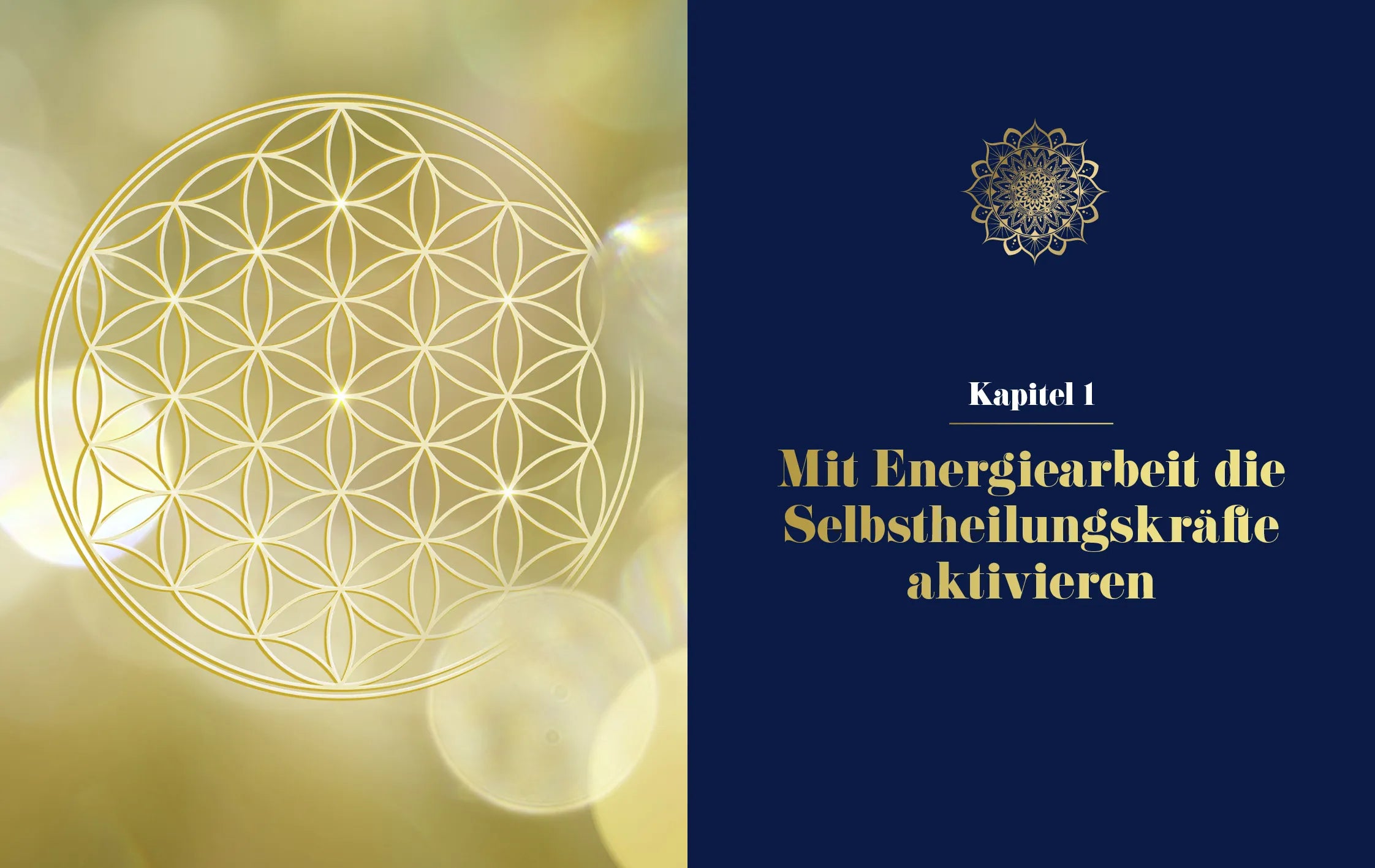Innenansicht von 'Chakren in Balance mit Yin Yoga' - Taschenbuch