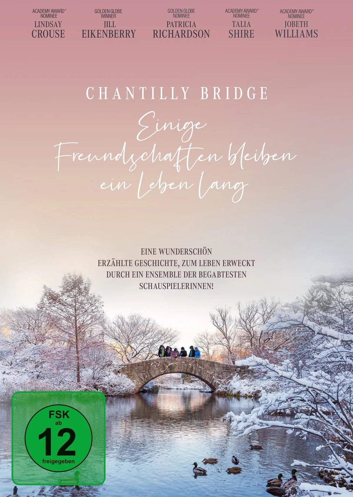 Chantilly Bridge - Einige Freundschaften bleiben - DVD