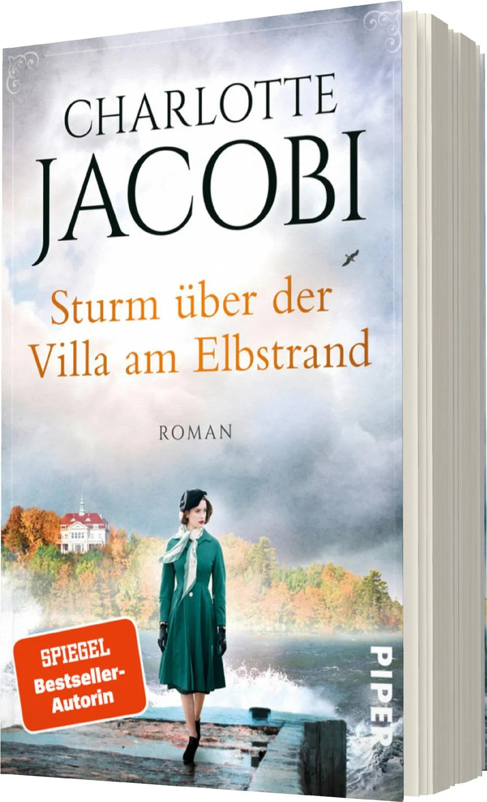Produktansicht: Sturm über der Villa am Elbstrand (Taschenbuch)