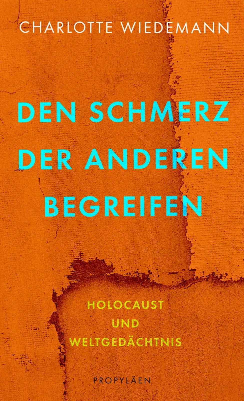 Produktansicht: Den Schmerz der Anderen begreifen (Gebundene Ausgabe)