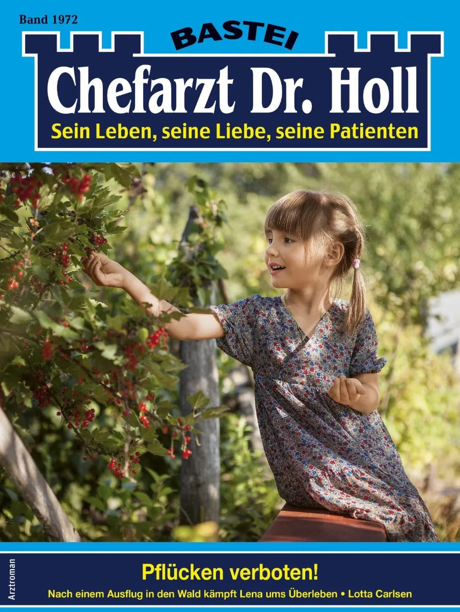 Cover: Chefarzt Dr. Holl 1972 (E-Book) von Lotta Carlsen
