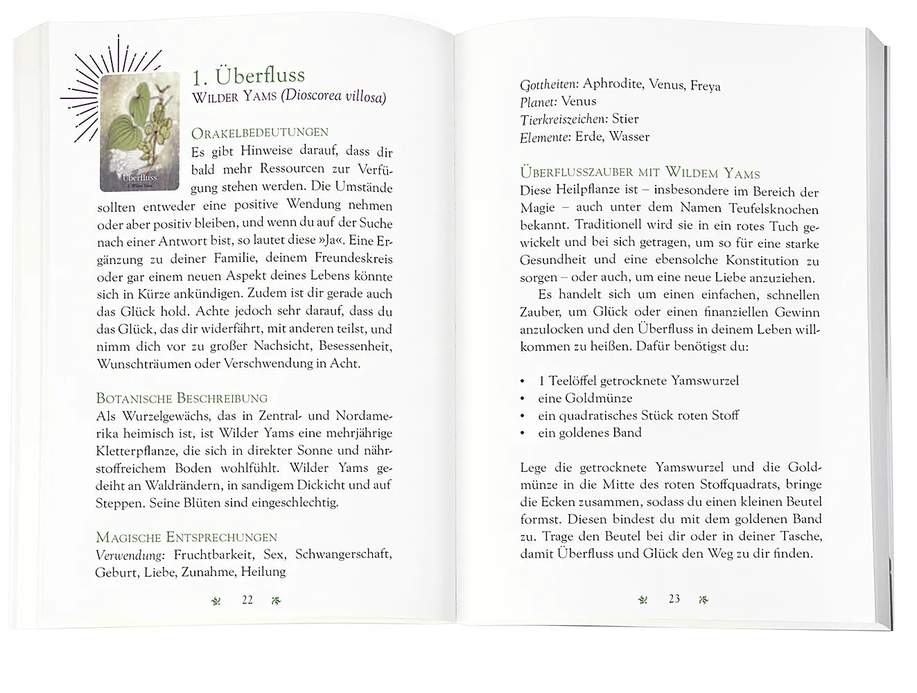 Produktansicht: Das magische Orakel der Heilpflanzen (Taschenbuch)