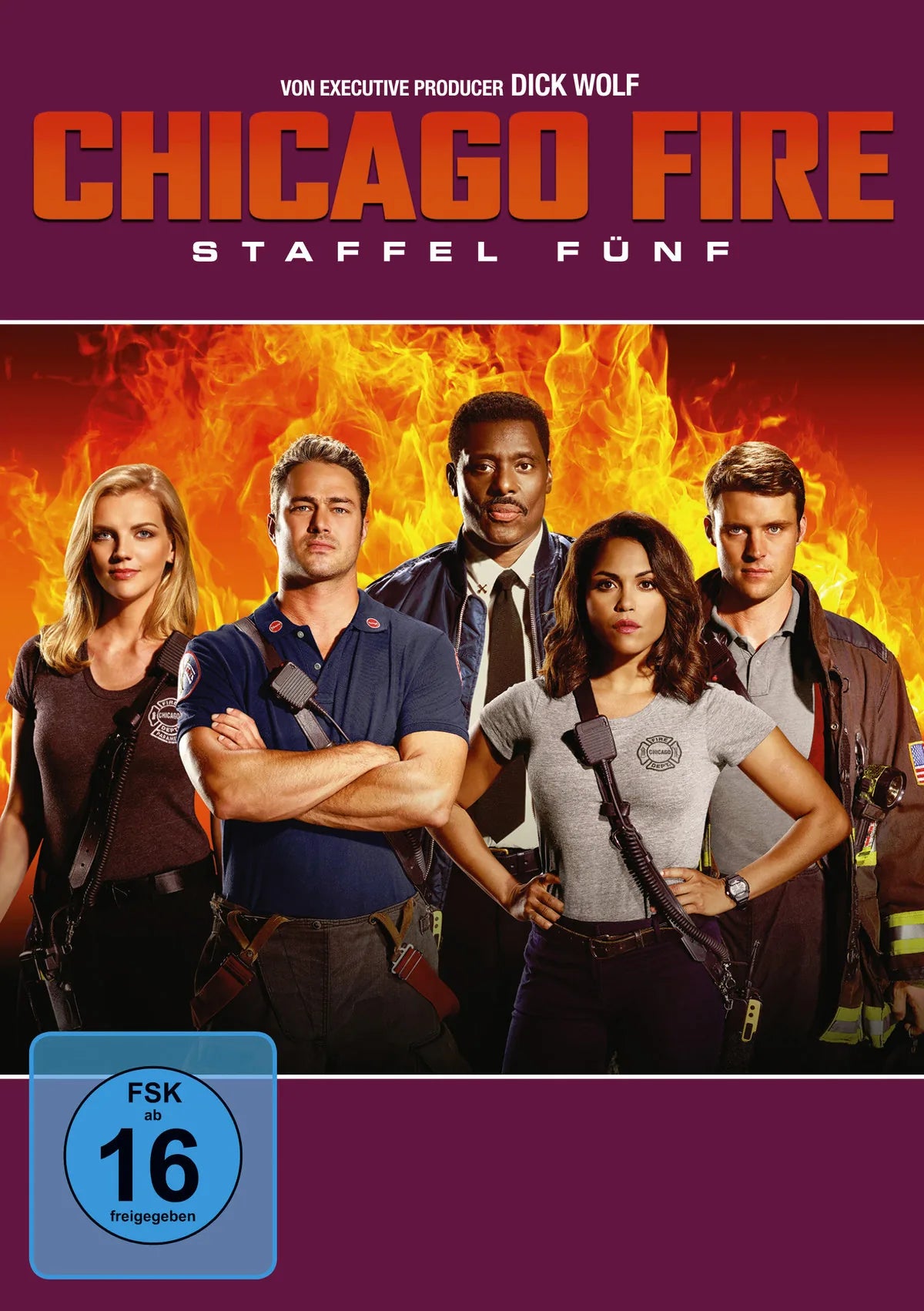 Chicago Fire - Staffel 5  [6 DVDs] - DVD