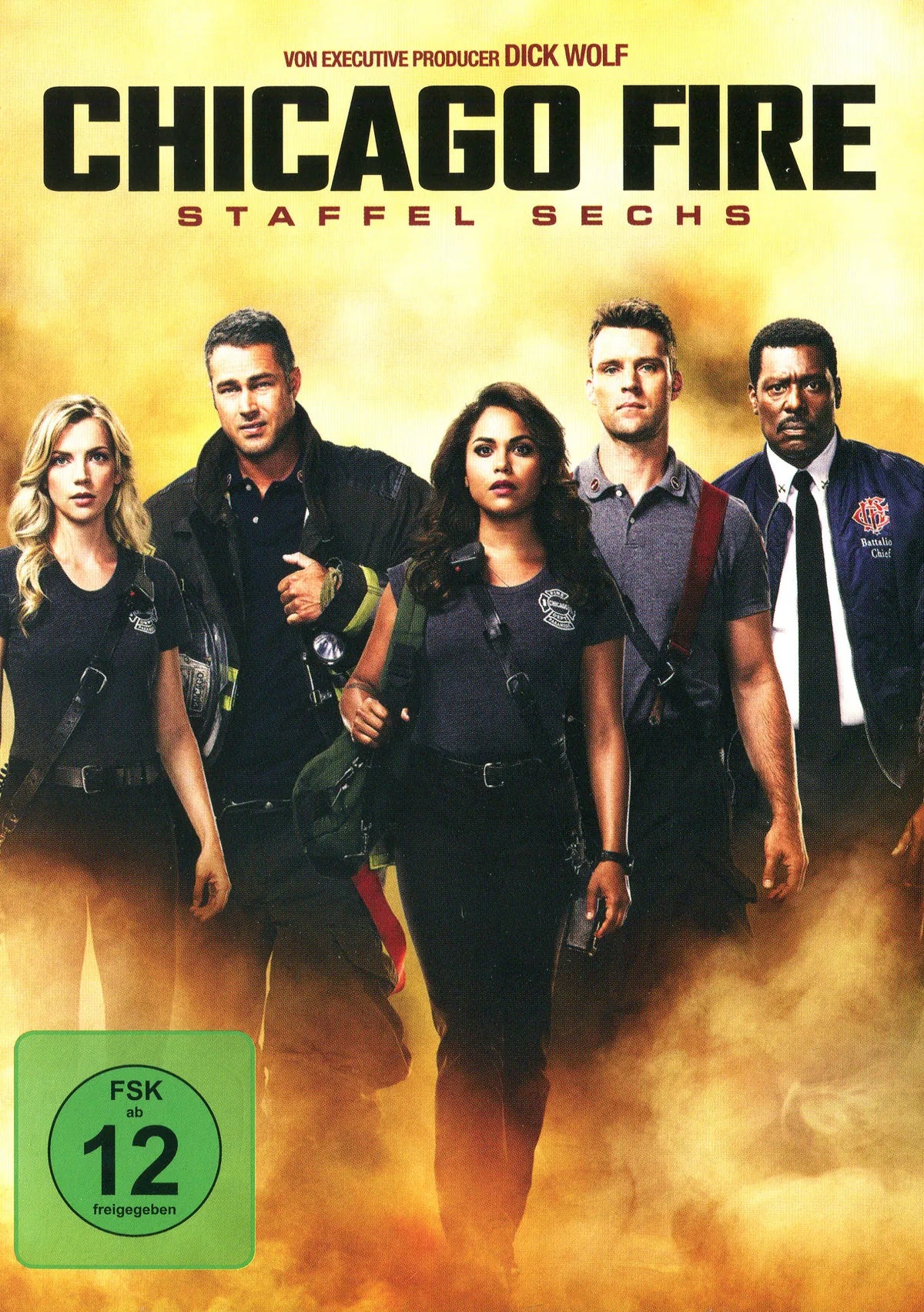 Chicago Fire - Staffel 6  [6 DVDs] - DVD