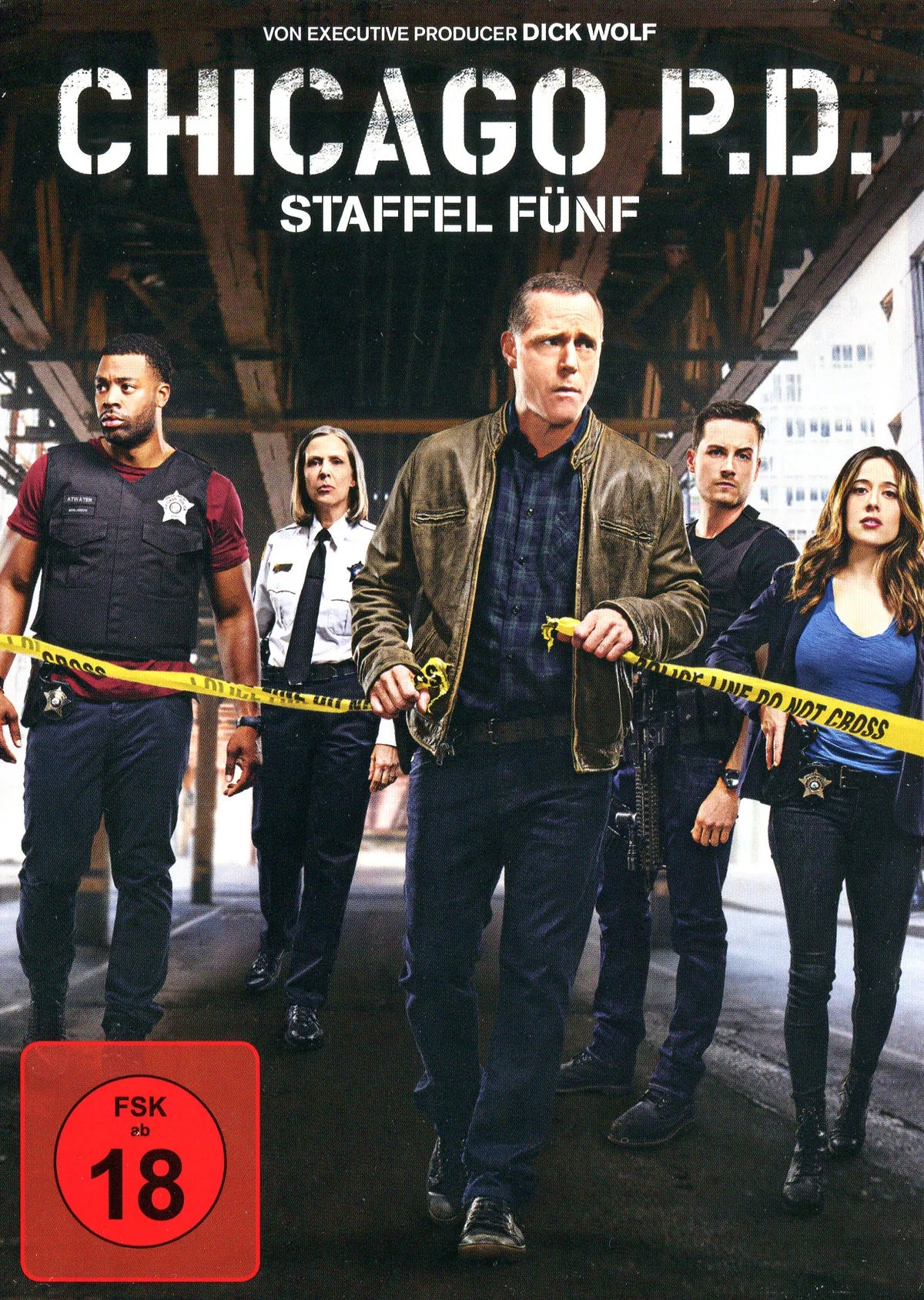 Chicago P.D. - Season 5  [6 DVDs] - DVD
