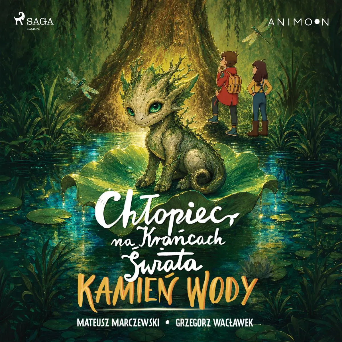 Cover: Chłopiec na krańcach świata. Kamień wody (Hörbuch Download) von Grzegorz Waclawek