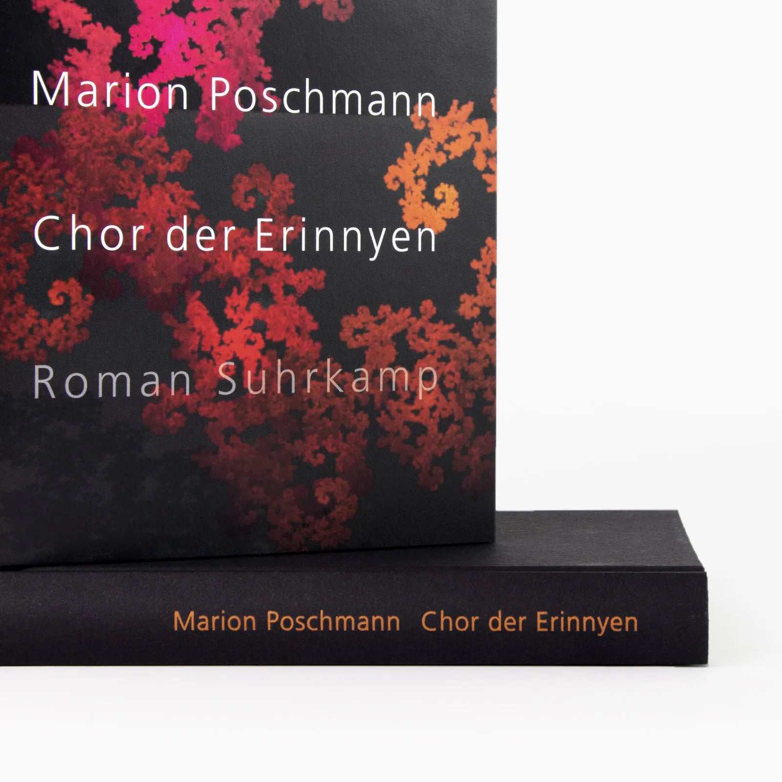 Abbildung von 'Chor der Erinnyen'
