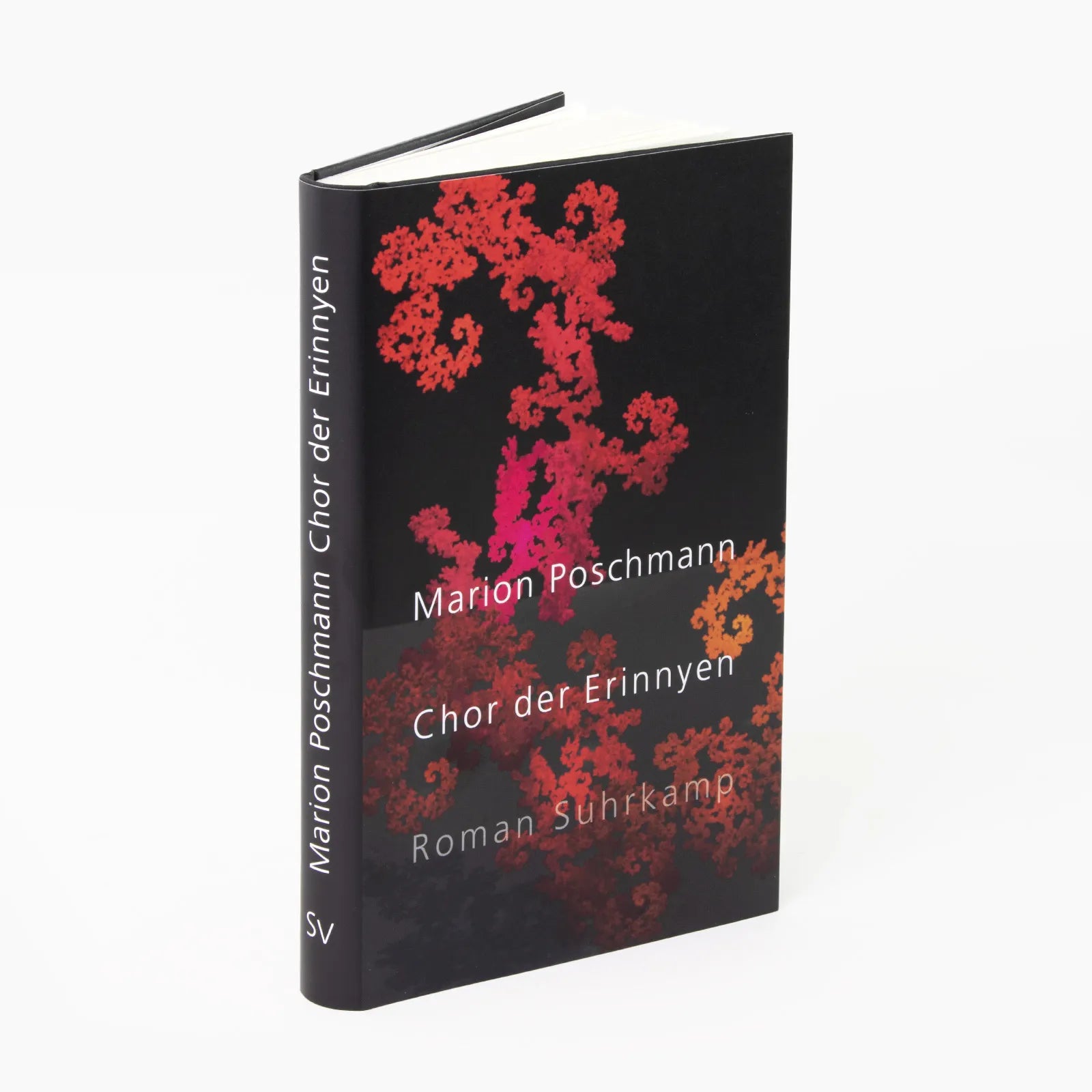 Produktansicht: Chor der Erinnyen (Gebundene Ausgabe)