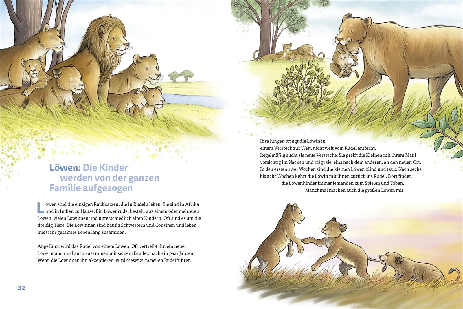 Produktansicht: Die kunterbunte Welt der Tierfamilien (Gebundene Ausgabe)