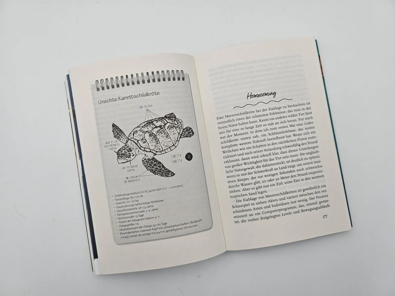 Produktansicht: Meine Reise mit den Meeresschildkröten (Taschenbuch)