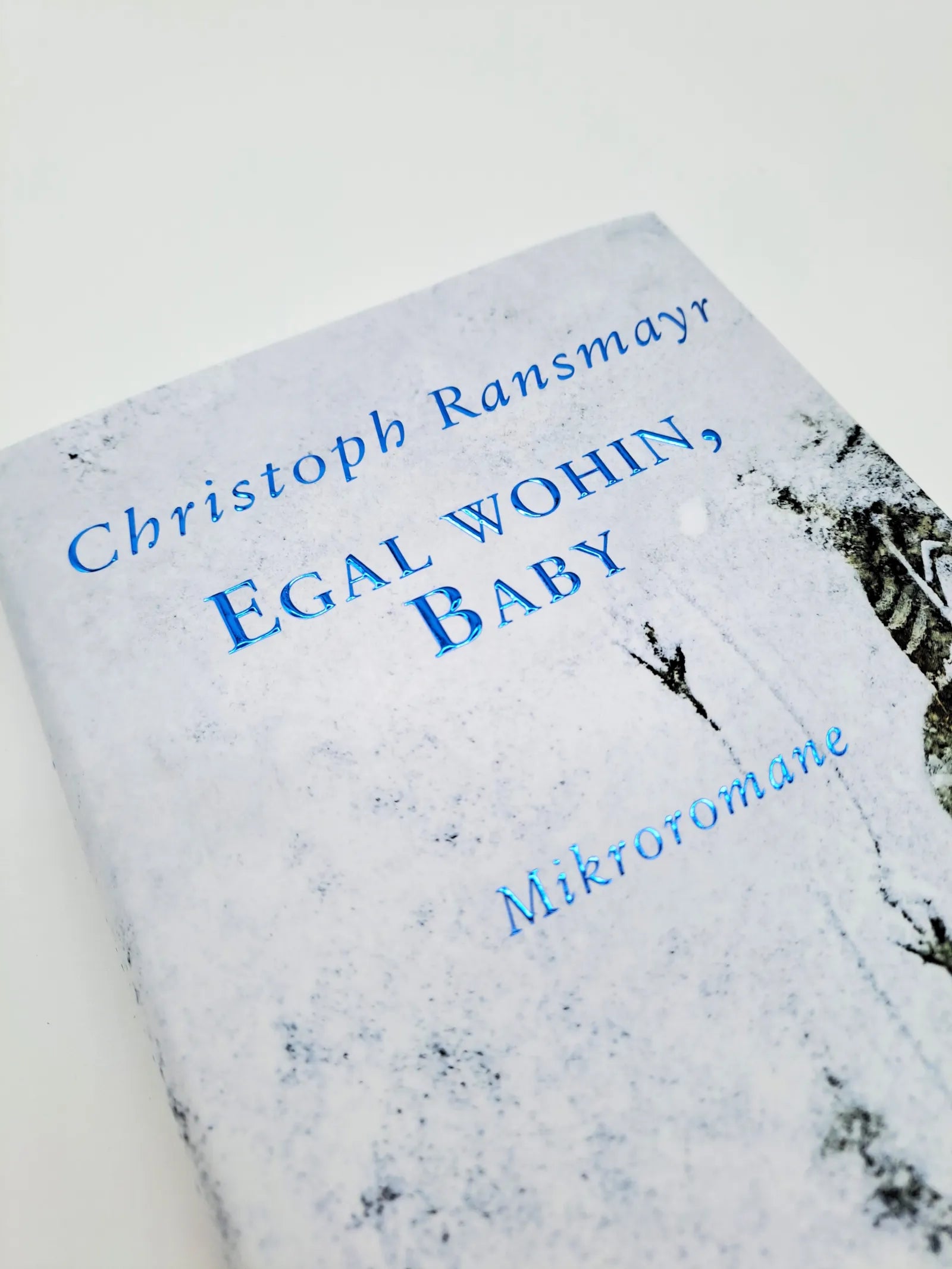 Produktansicht: Egal wohin, Baby (Gebundene Ausgabe)