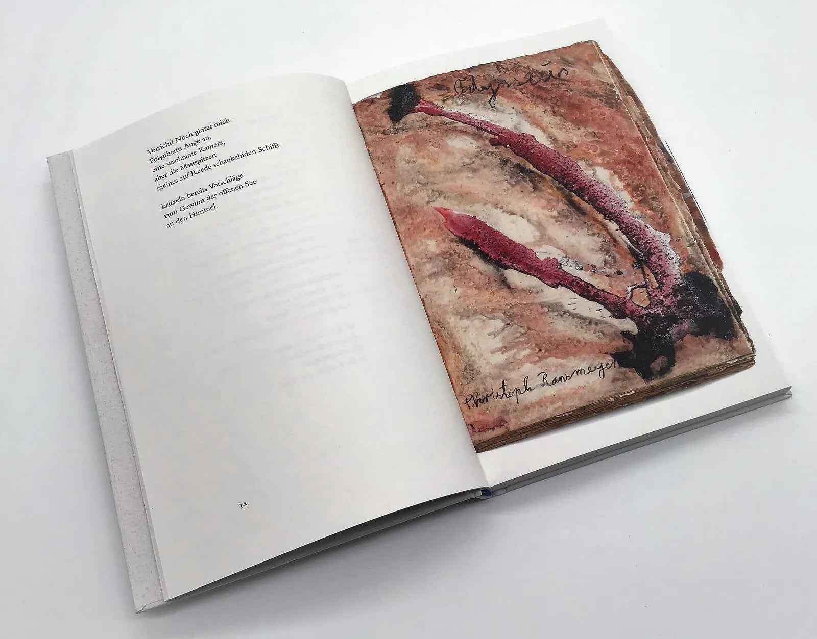 Produktansicht: Unter einem Zuckerhimmel (Gebundene Ausgabe)