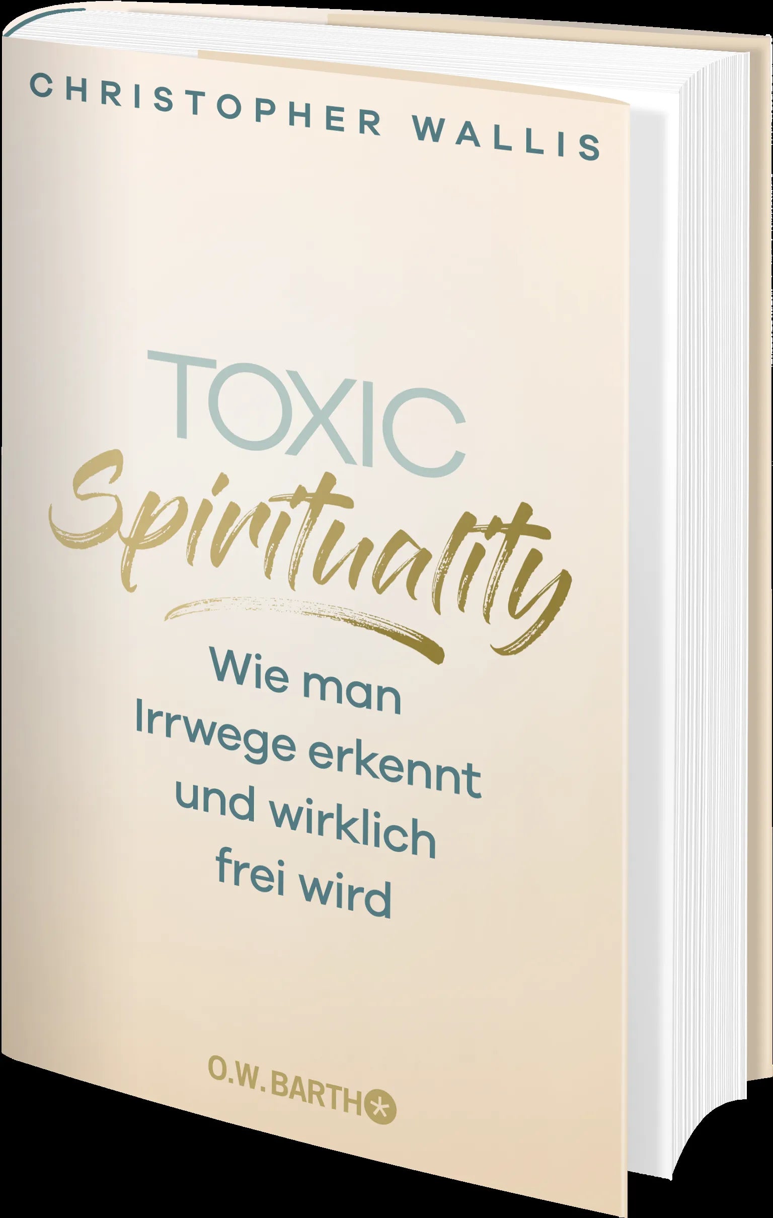 Produktansicht: Toxic Spirituality (Gebundene Ausgabe)