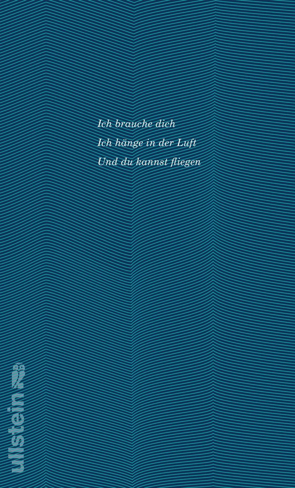 Buchrückseite von 'Chuck's Zimmer' mit Klappentext - Taschenbuch