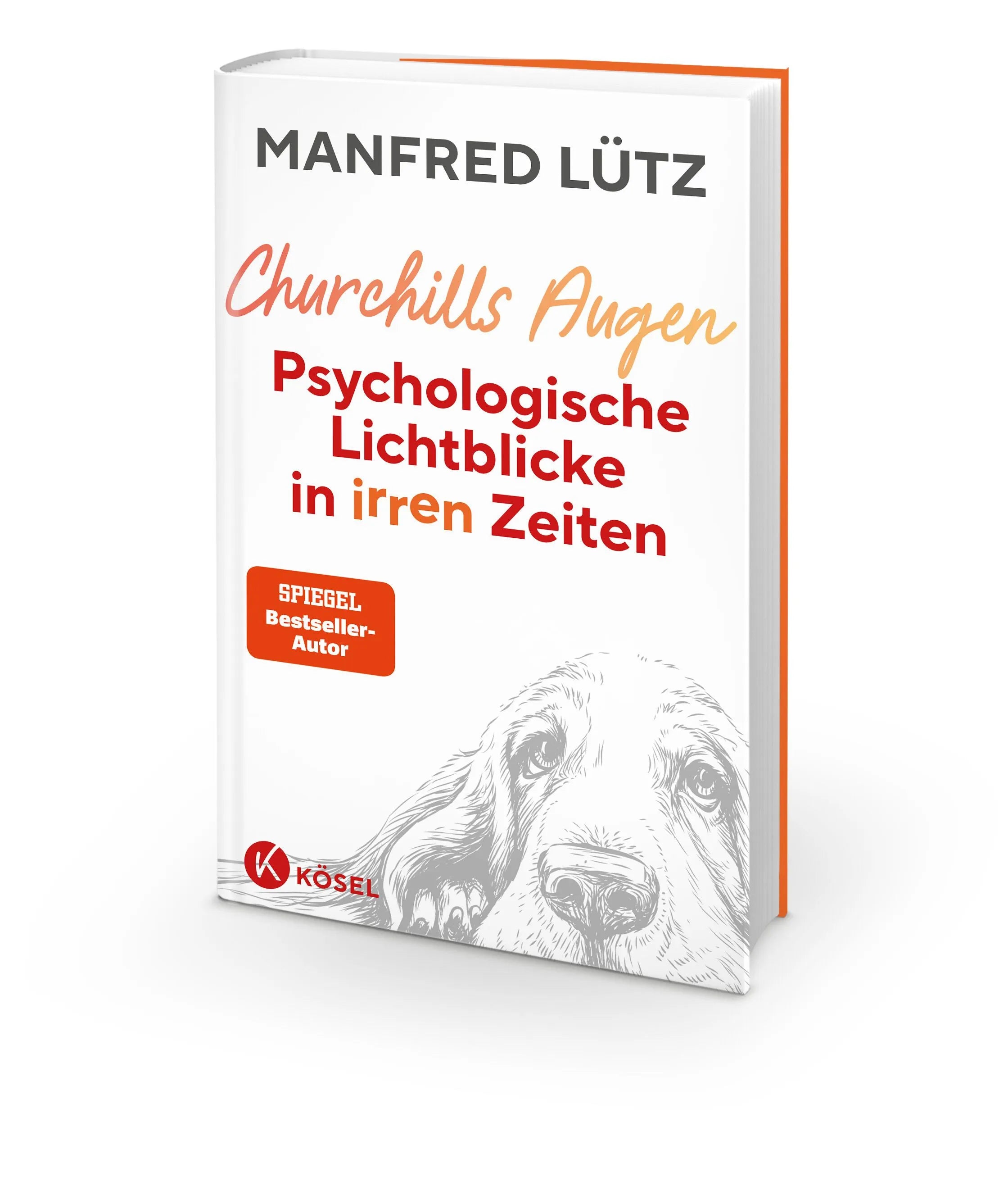 Detailansicht: Churchills Augen (Hardcover)