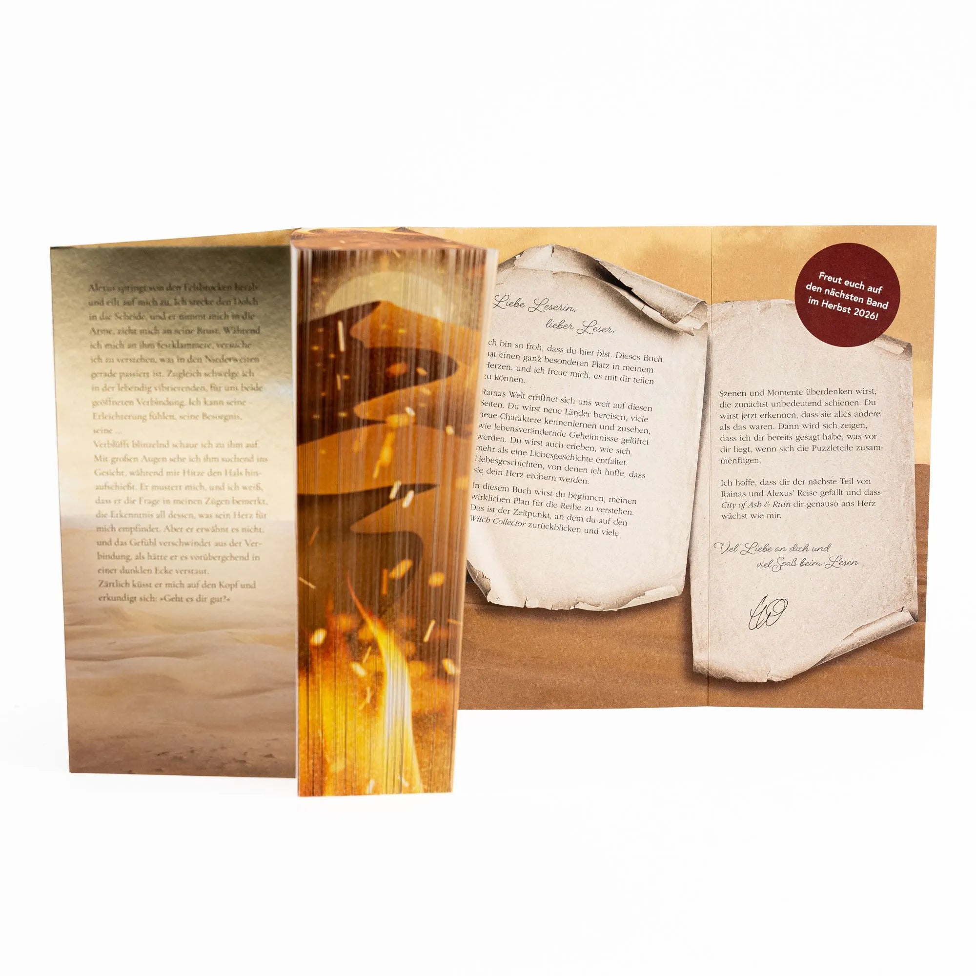 Detailansicht: City of Ash and Ruin (Paperback)