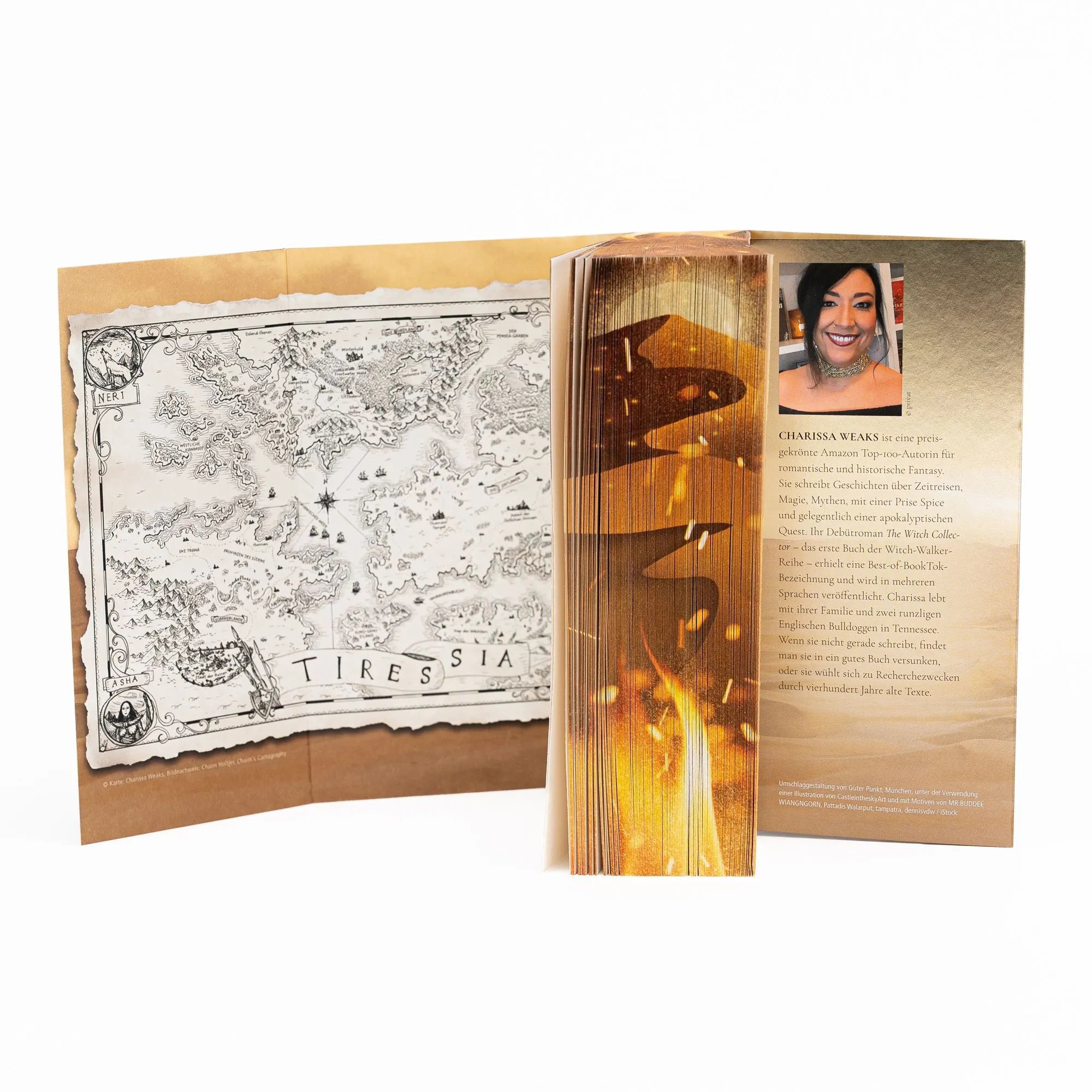 Detailansicht: City of Ash and Ruin (Paperback)