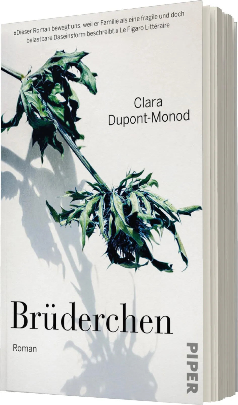Produktansicht: Brüderchen (Taschenbuch)