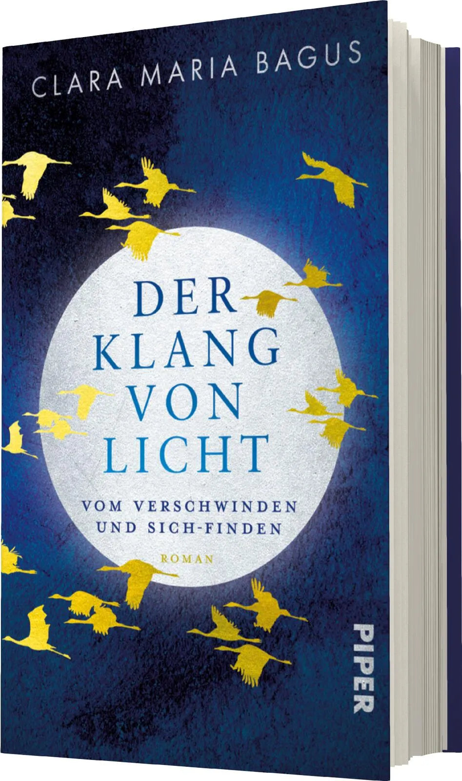 Produktansicht: Der Klang von Licht (Gebundene Ausgabe)