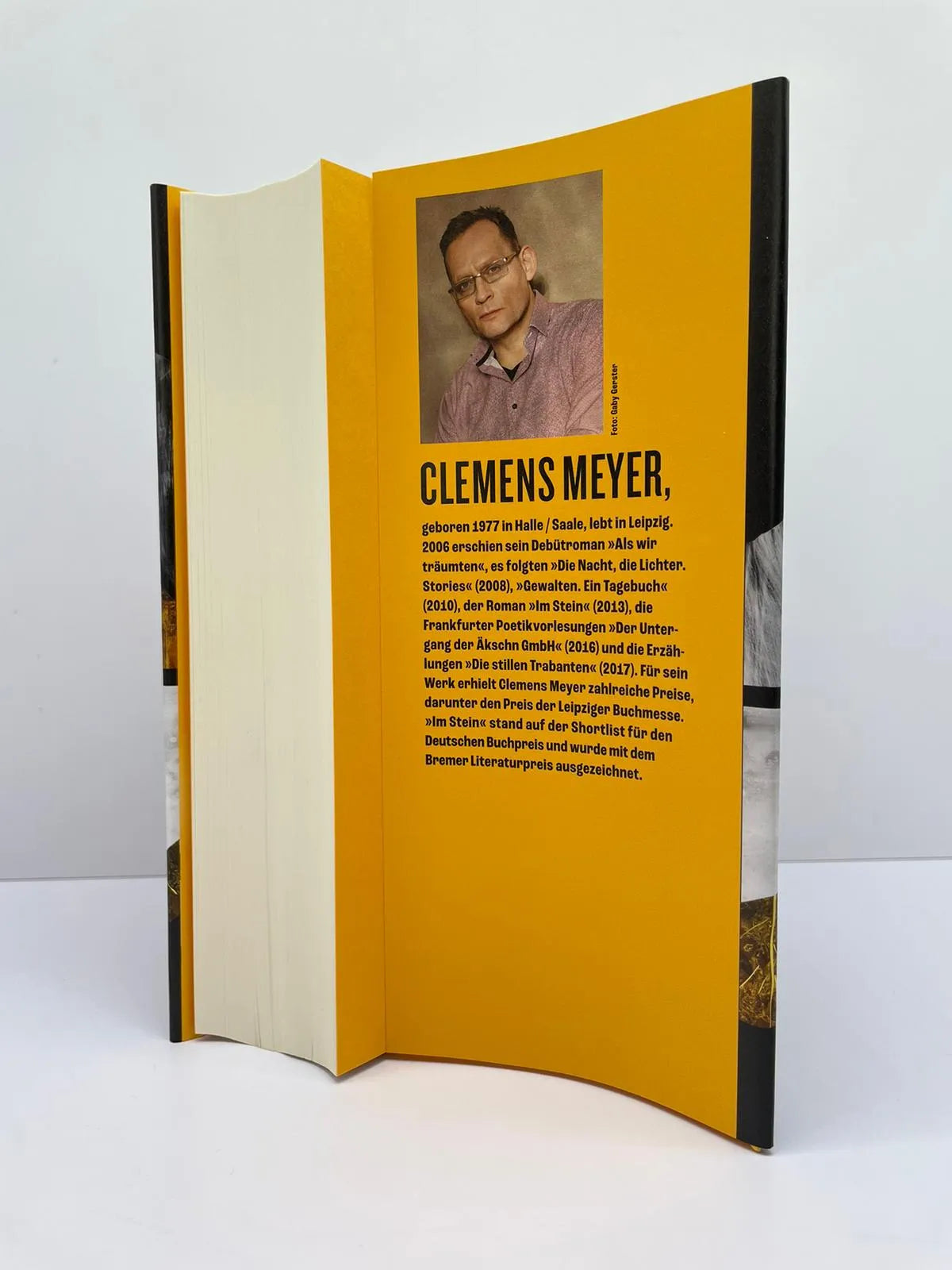 Produktansicht: Die Projektoren (Gebundene Ausgabe)