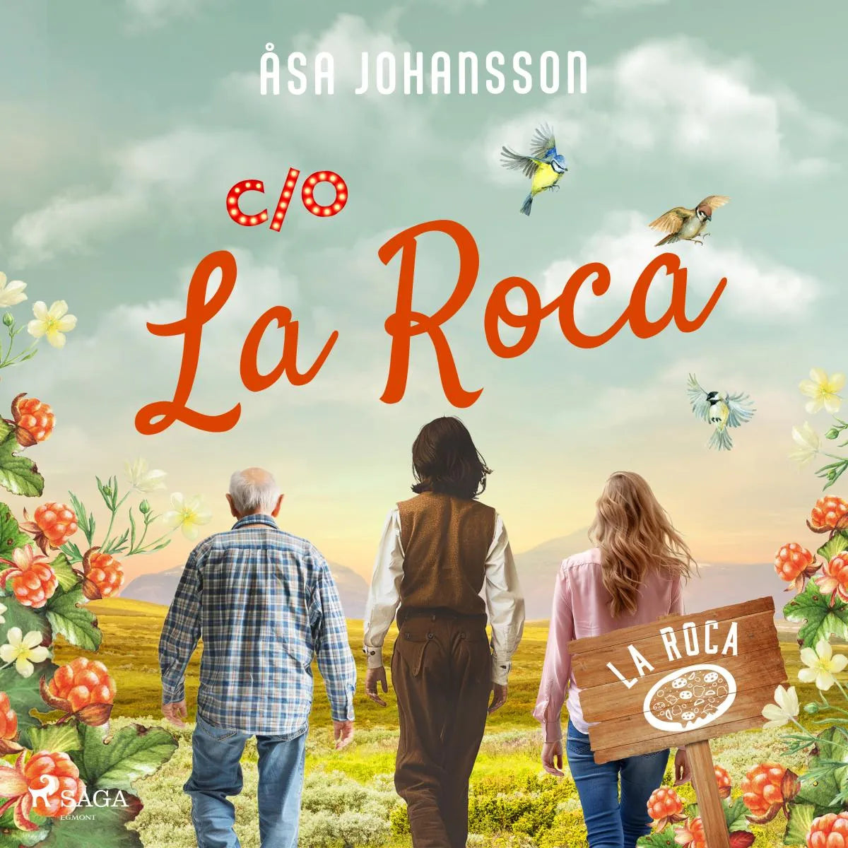 Cover: C/O La Roca (Hörbuch Download) von Åsa Johansson