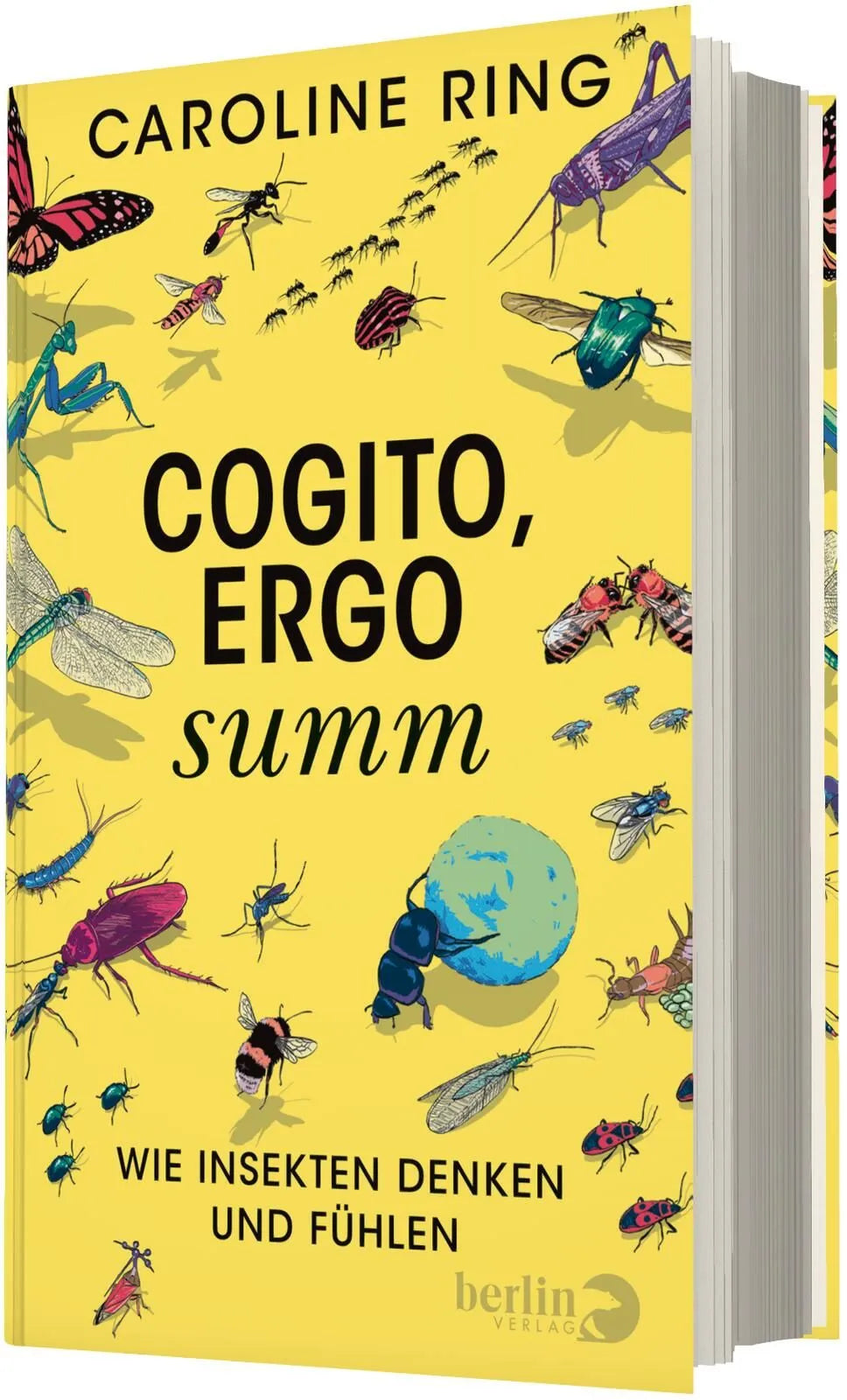 Detailansicht: Cogito, ergo summ (Hardcover)