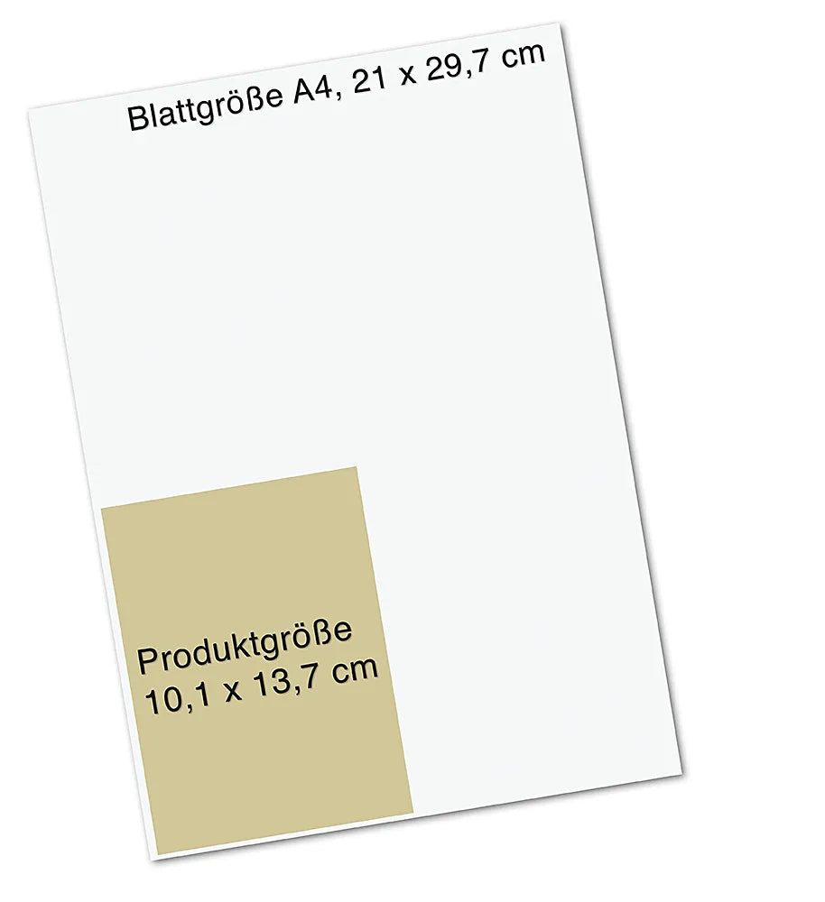 Produktansicht: Das Orakel der Krafttiere (Taschenbuch)