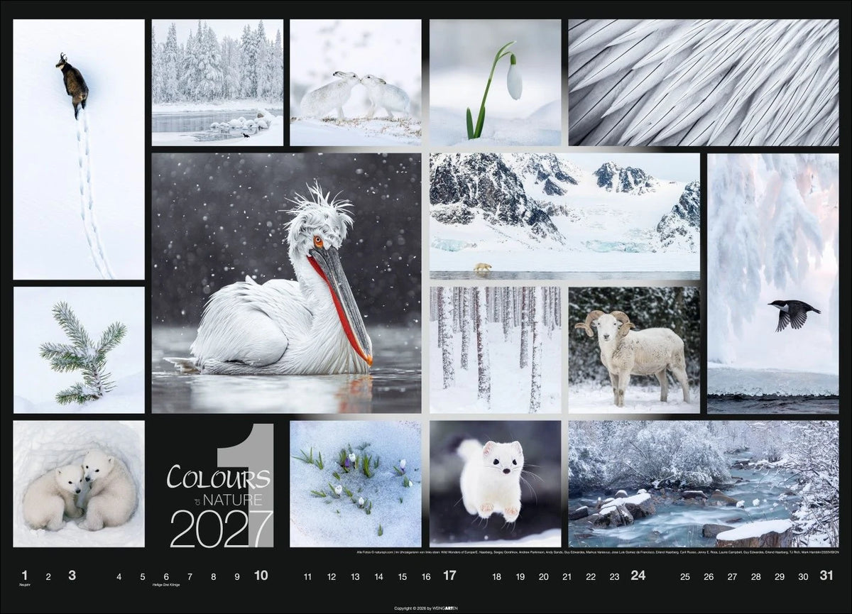 Colours of Nature Kalender 2027 – Ansicht