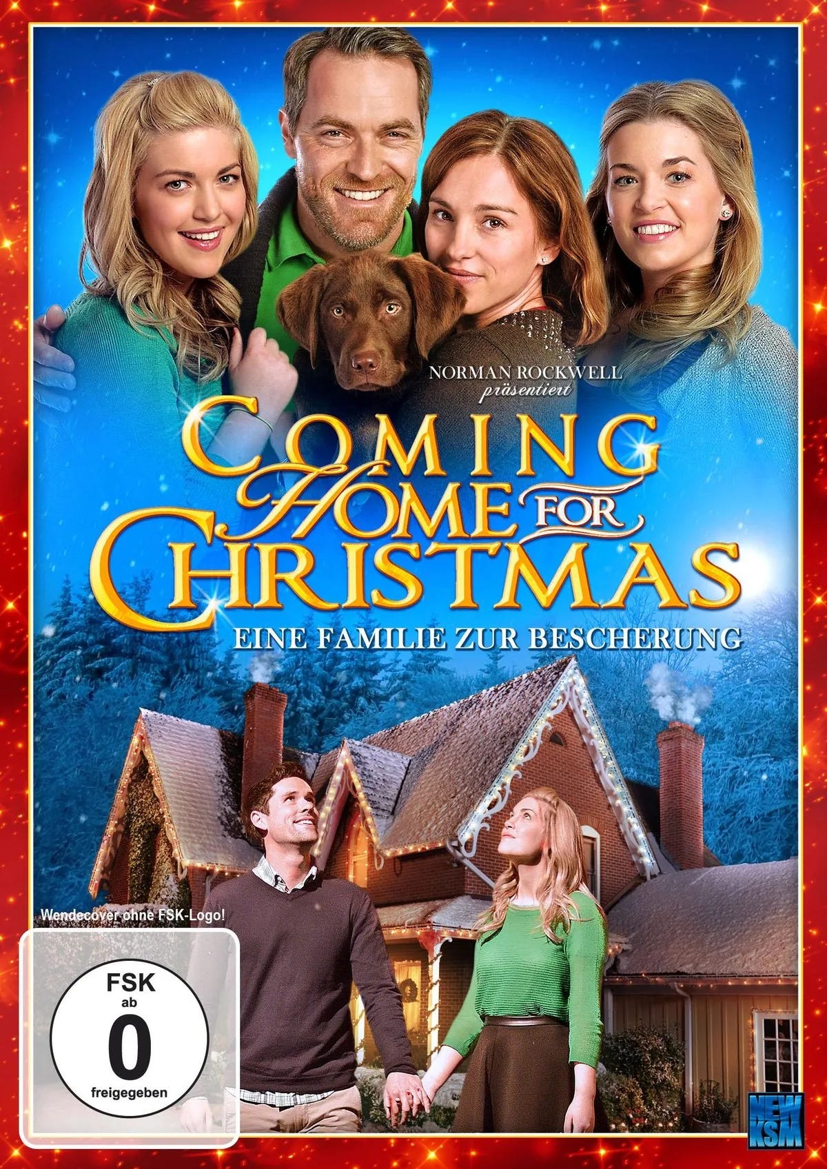Coming Home for Christmas - Eine Familie zur Bes - DVD