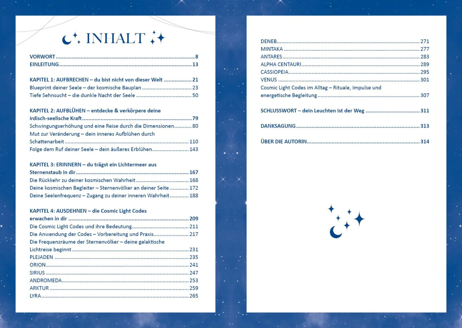 Innenansicht von 'Cosmic Light Codes – Deine Verbindung zu höheren Dimensionen' - Taschenbuch