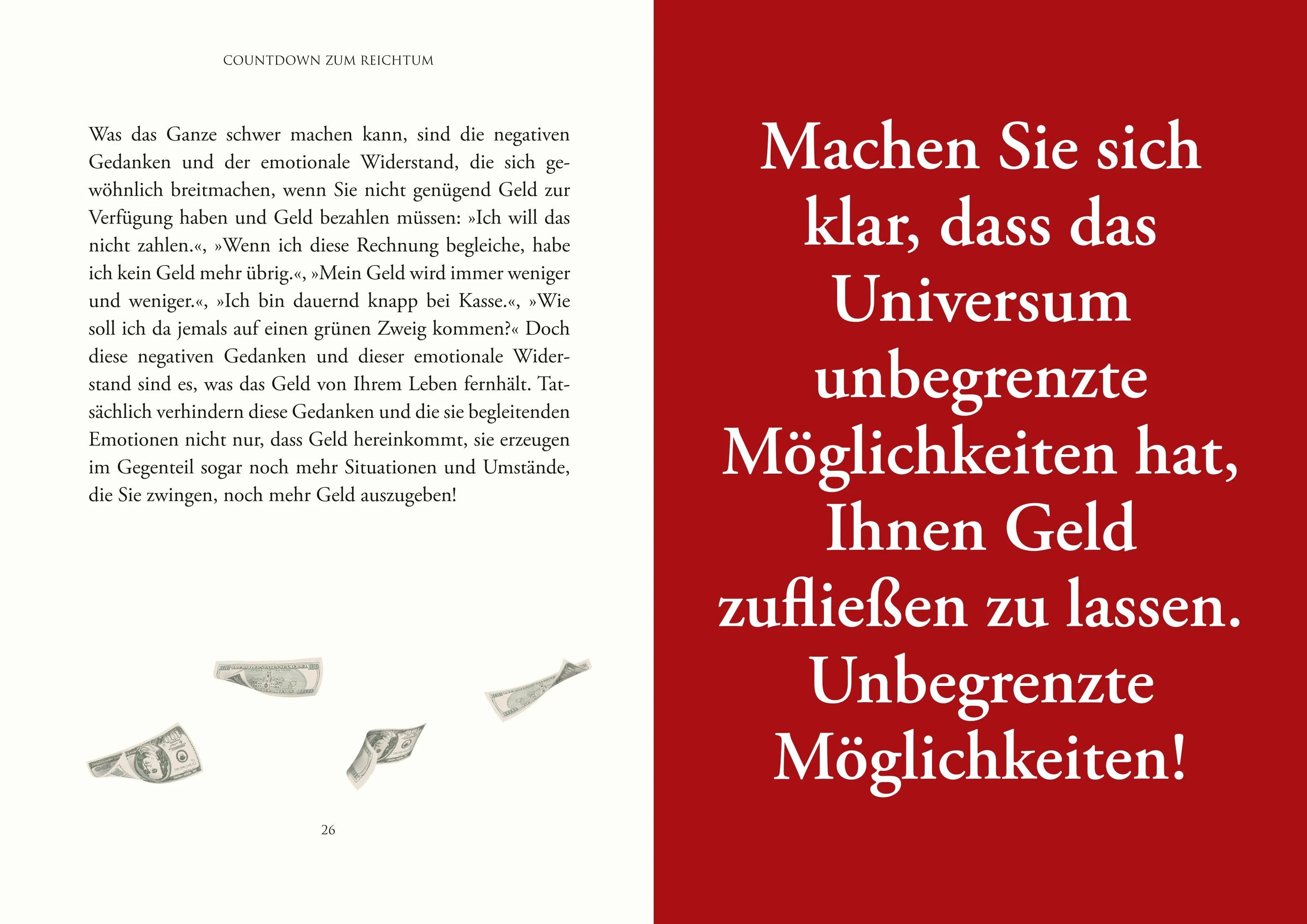 Produktansicht: Countdown zum Reichtum (Gebundene Ausgabe)