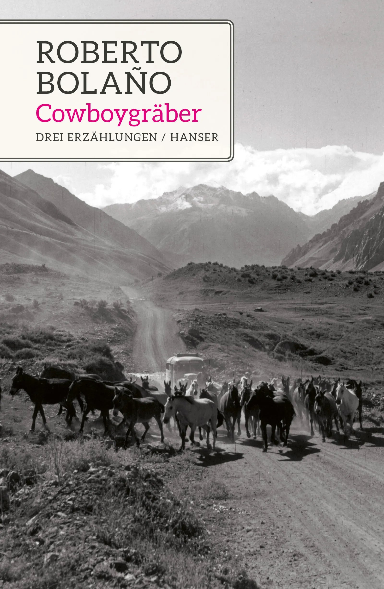 Buchcover von 'Cowboygräber' - Gebundene Ausgabe von Roberto Bolaño