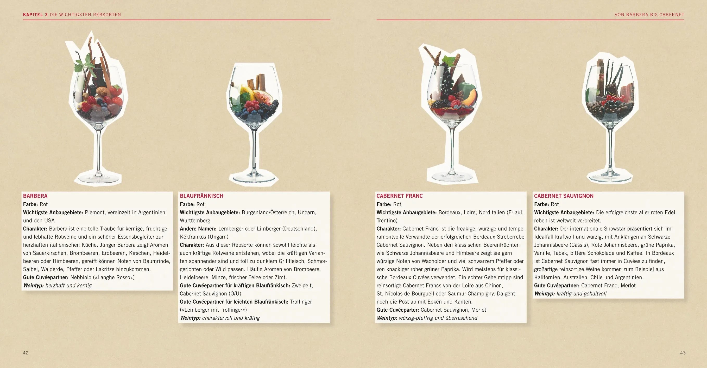 Abbildung von 'Crashkurs Wein'