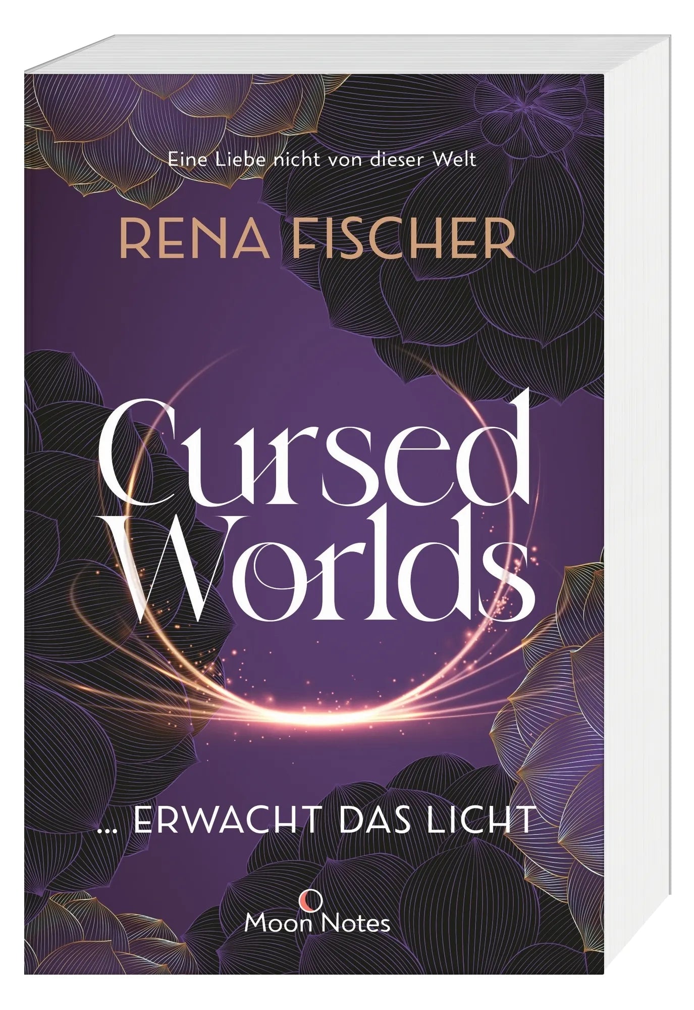Detailansicht: Cursed Worlds 2 … erwacht das Licht (Taschenbuch)