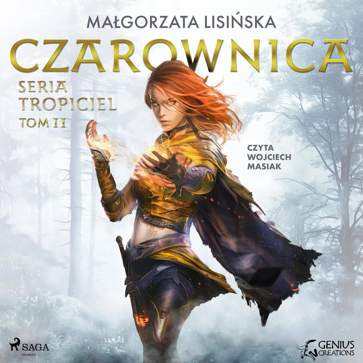 Cover: Czarownica (Hörbuch Download) von Malgorzata Lisinska
