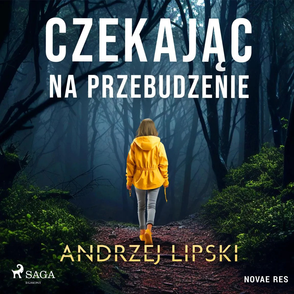 Cover: Czekając na przebudzenie (Hörbuch Download) von Andrzej Lipski